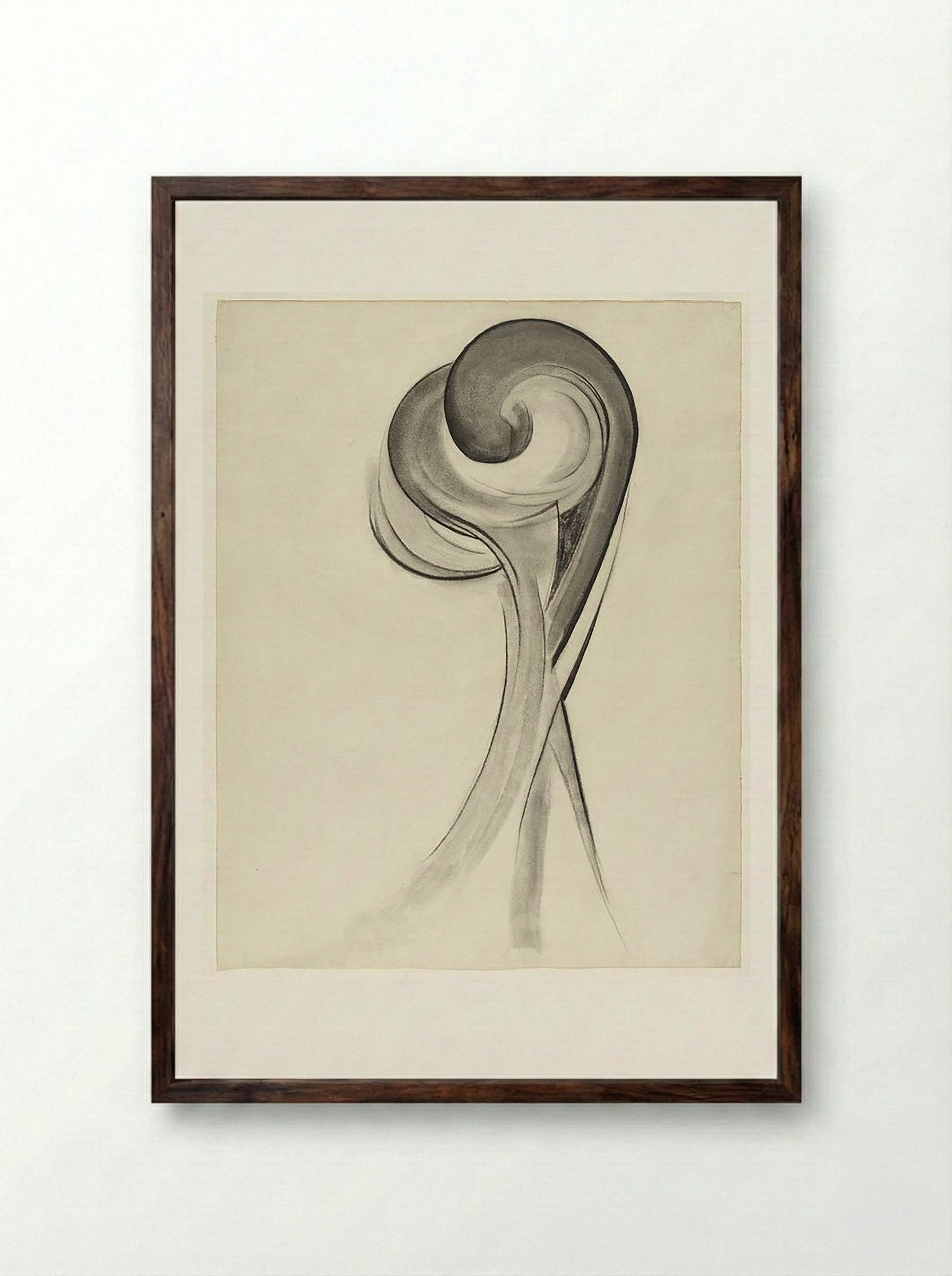 Untitled (Abstract Floral Study, Charcoal on Paper) - Fine Art Print - Framed Print Dark Wood