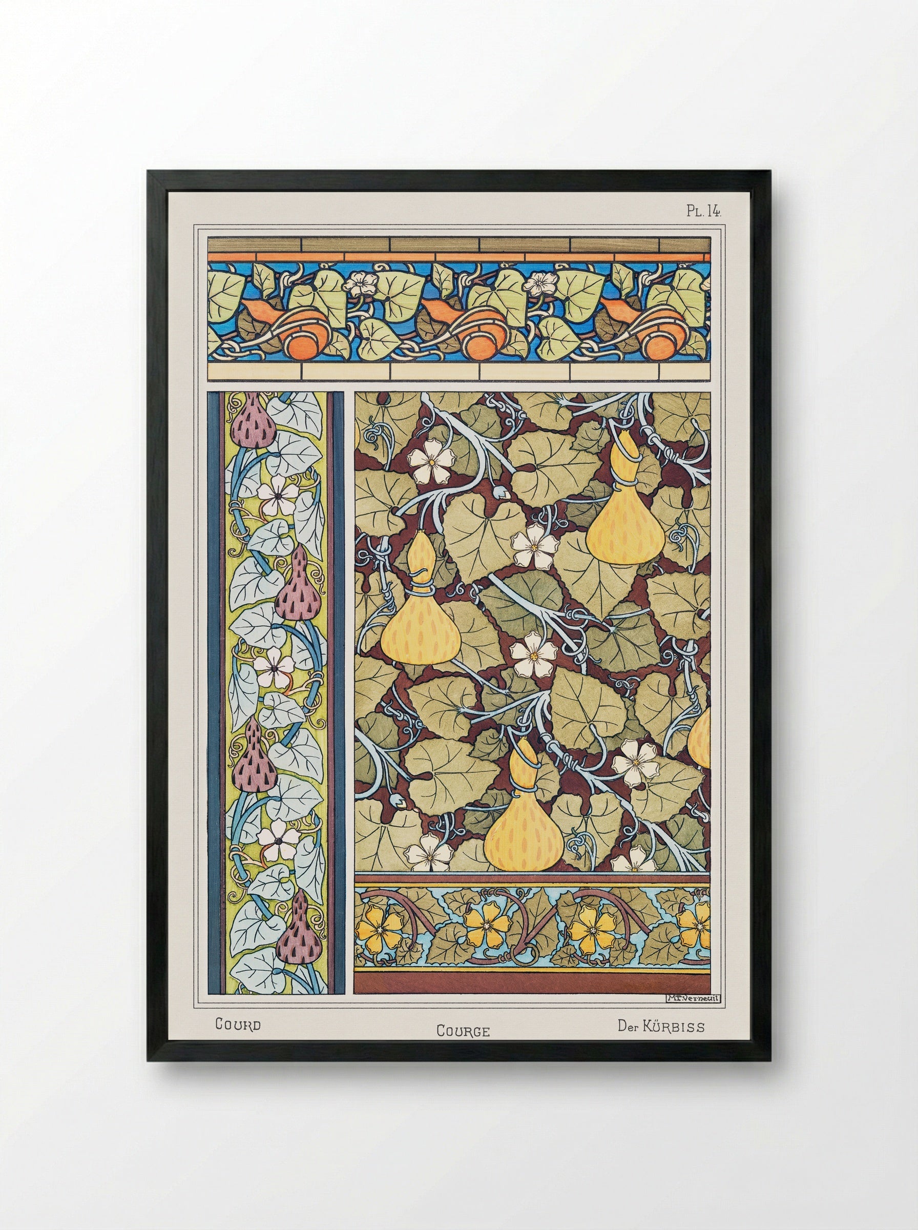 Courge (White-Flowered Gourd, Plate 14) - Maurice Pillard Verneuil - Framed Print Black