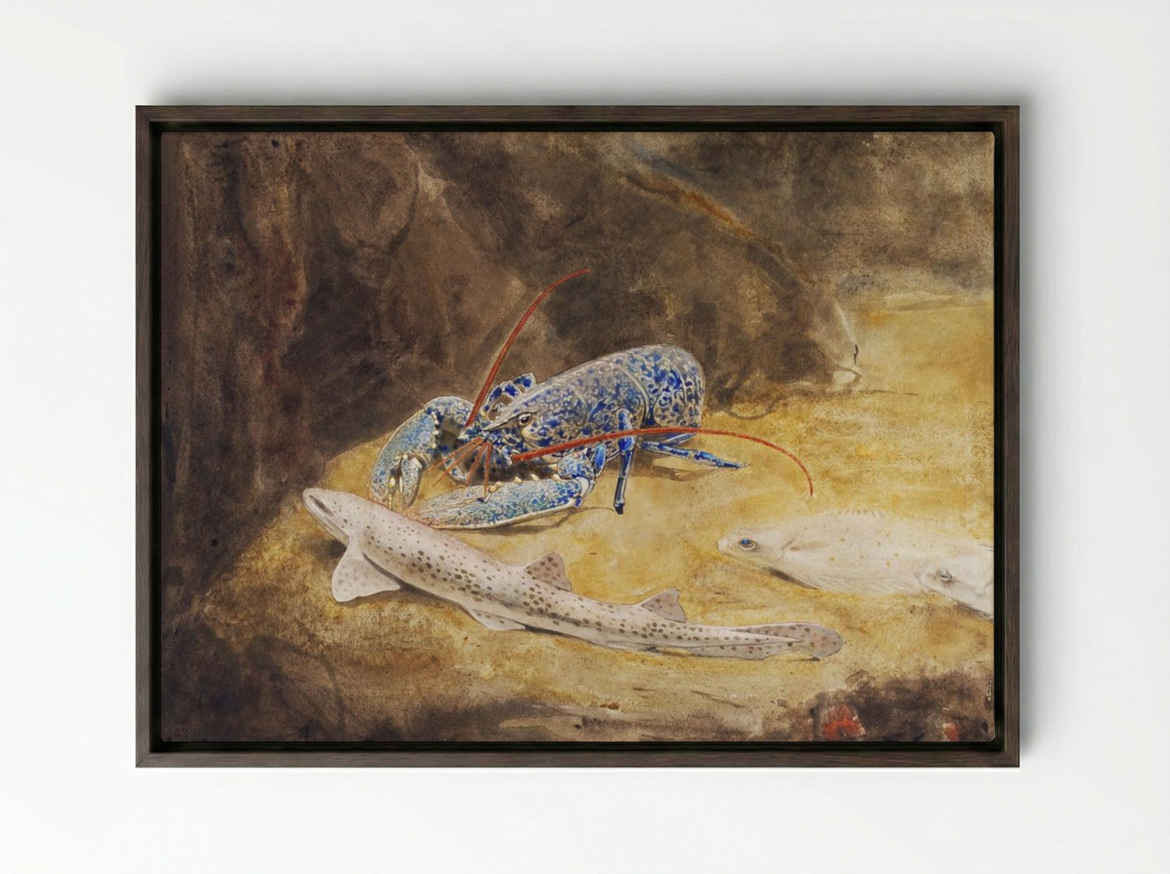 Aquarium with Three North Sea Fish, Lobster, Dogfish and Plaice - Gerrit Willem Dijsselhof - Framed Canvas Dark Wood