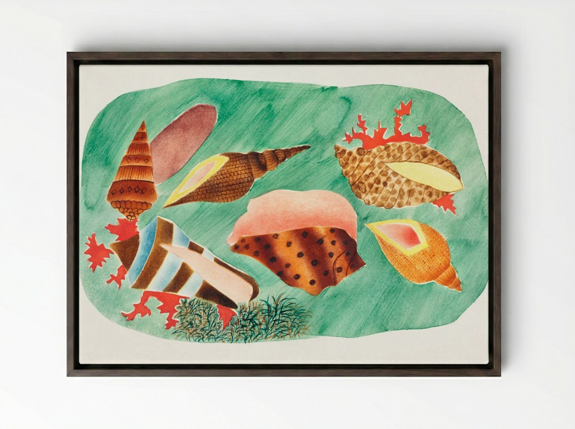 Shells in Seaweed - Mary Altha Nims - Framed Canvas Dark Wood