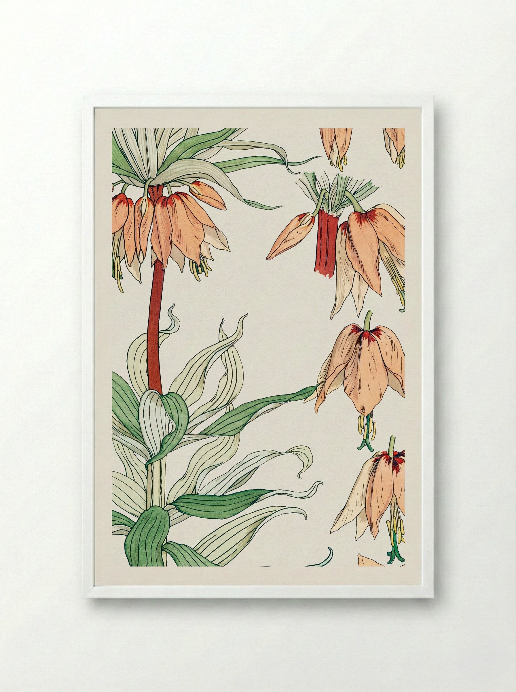 Couronne Impériale (Crown Imperial) - Maurice Pillard Verneuil - Framed Print White