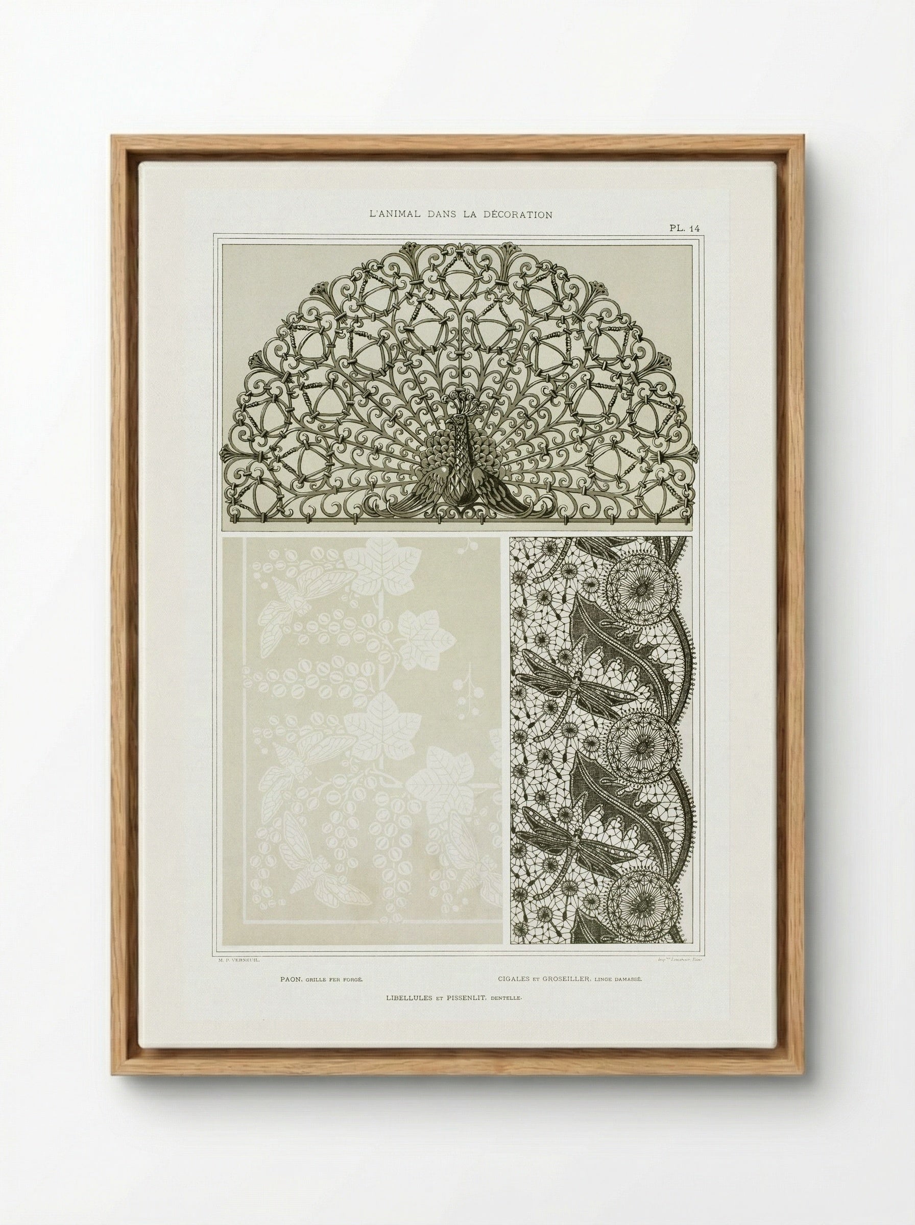 L'Animal dans la Décoration, Plate 14 (Peacock, Cicadas, Dragonflies) - Maurice Pillard Verneuil - Framed Canvas Wood
