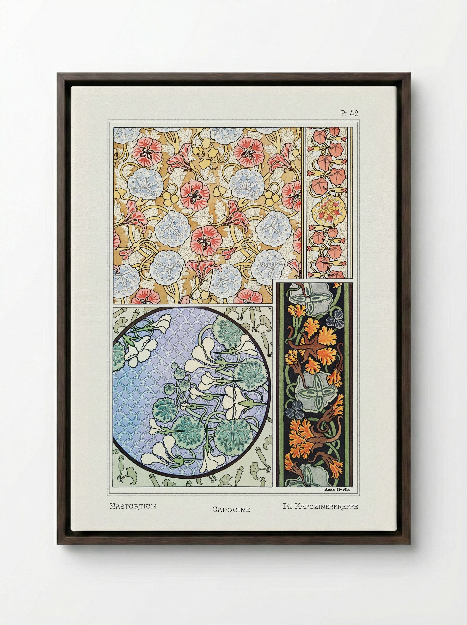 Capucine (Nasturtium) from La Plante et ses Applications ornementales - Maurice Pillard Verneuil - Framed Canvas Dark Wood