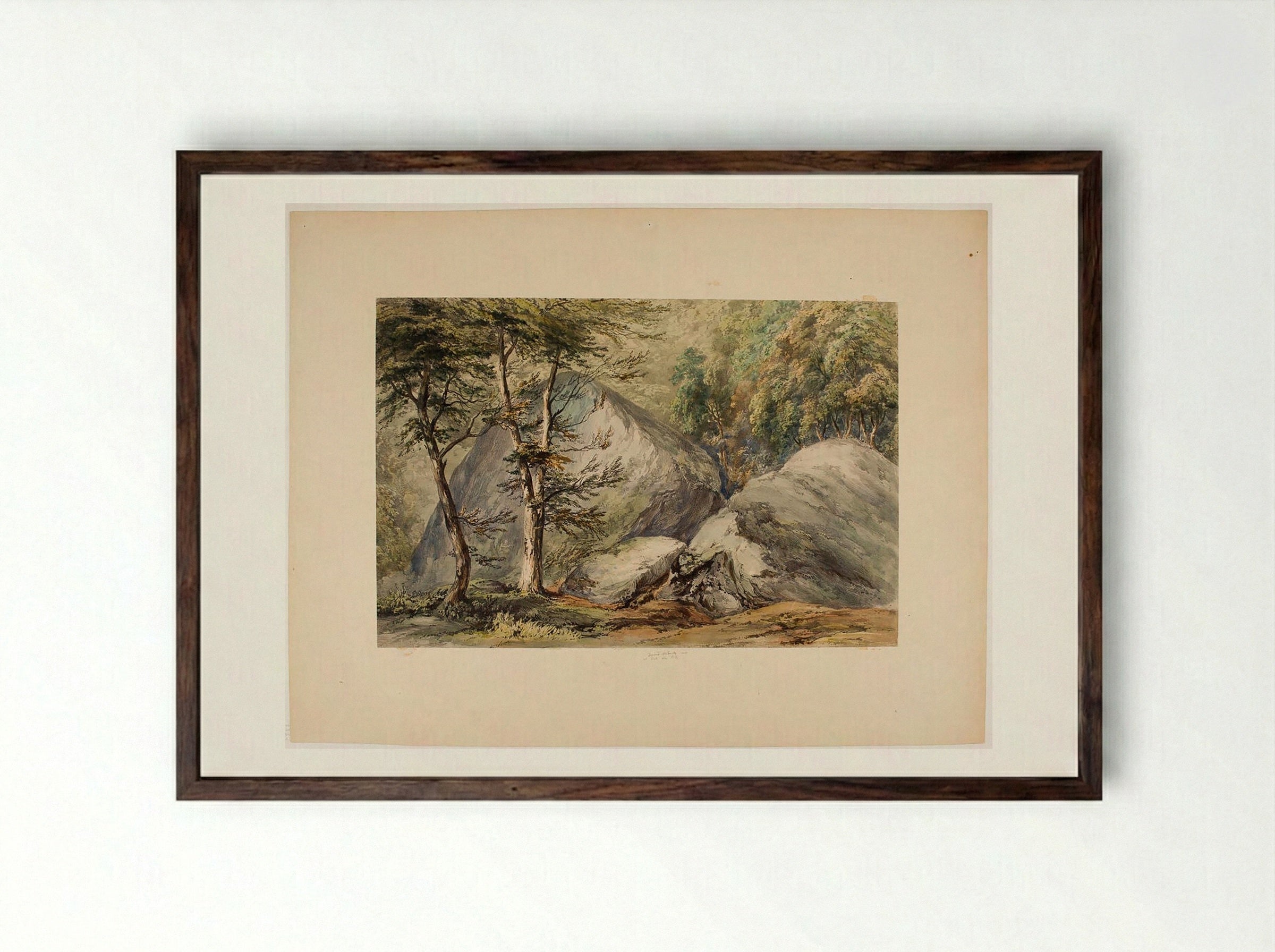 Study of Rocks and Trees - David Roberts - Framed Print Dark Wood
