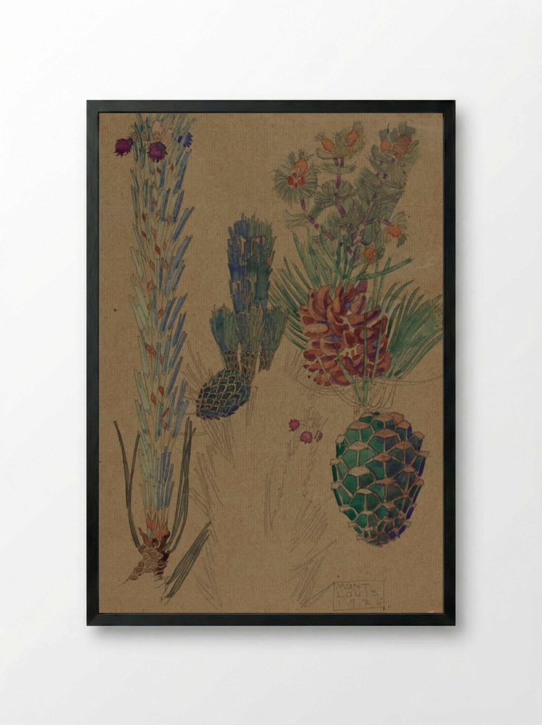 Pine Cones - Mont Louis - Framed Print Black
