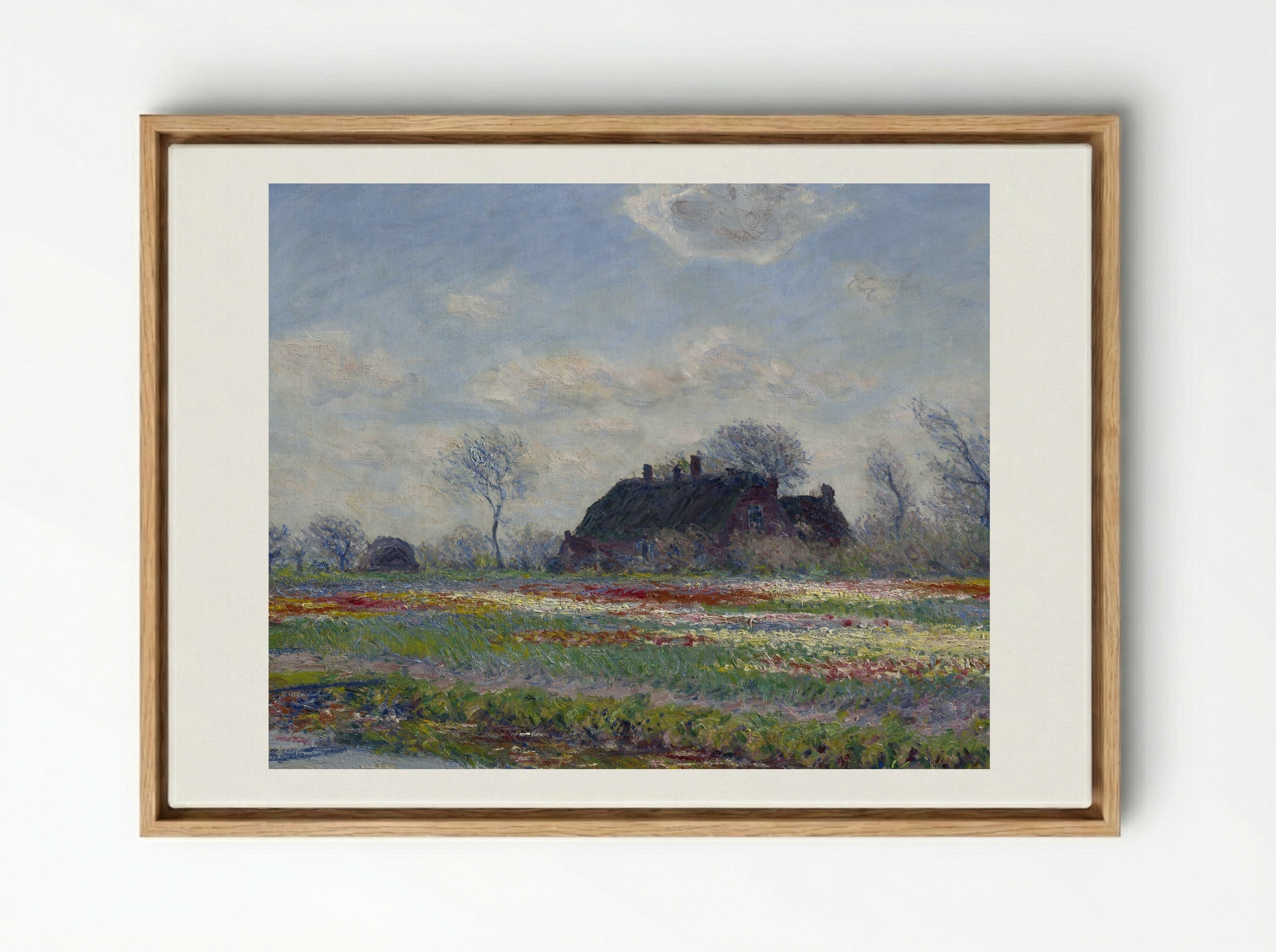 Tulip Fields at Sassenheim - Claude Monet - Framed Canvas Wood