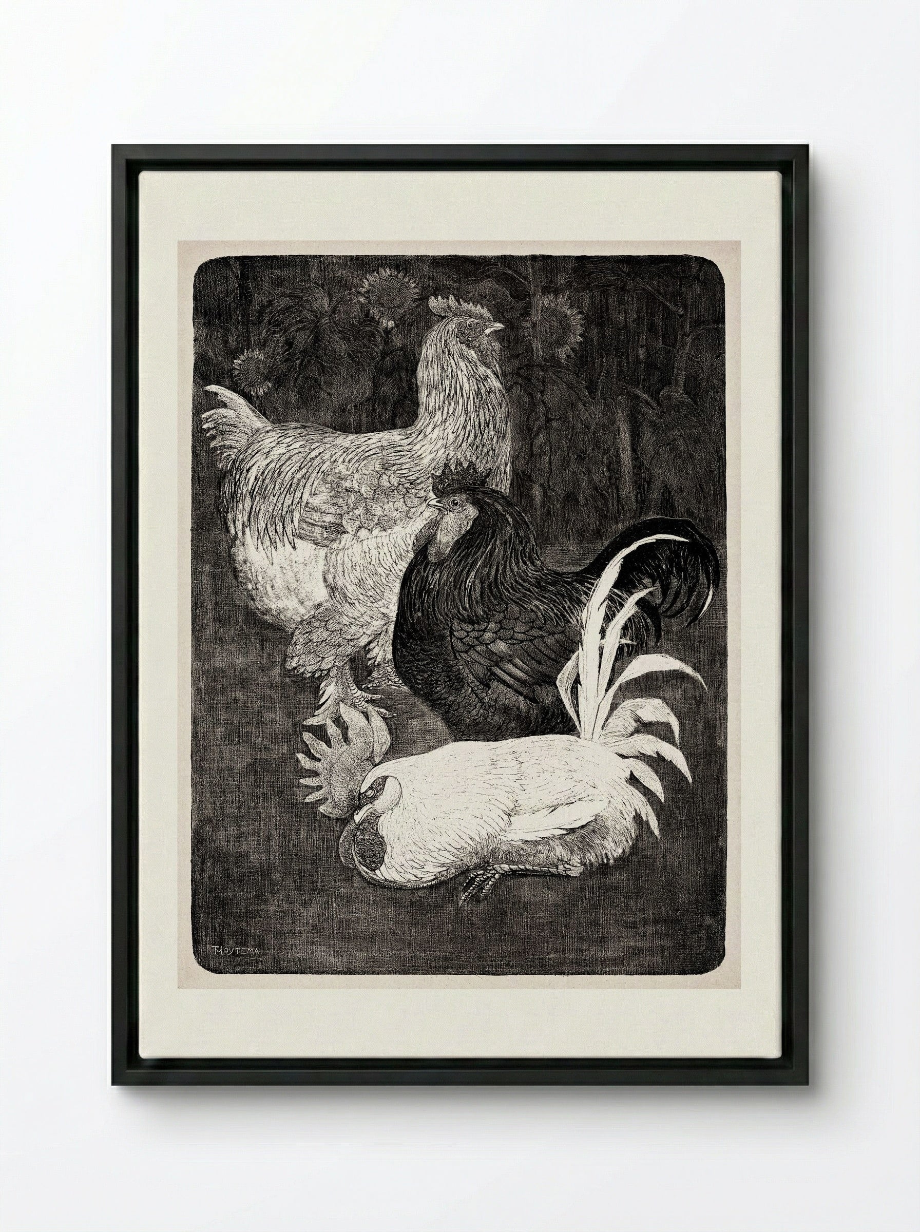 Drie Hanen (Three Roosters) - Theo van Hoytema - Framed Canvas Black