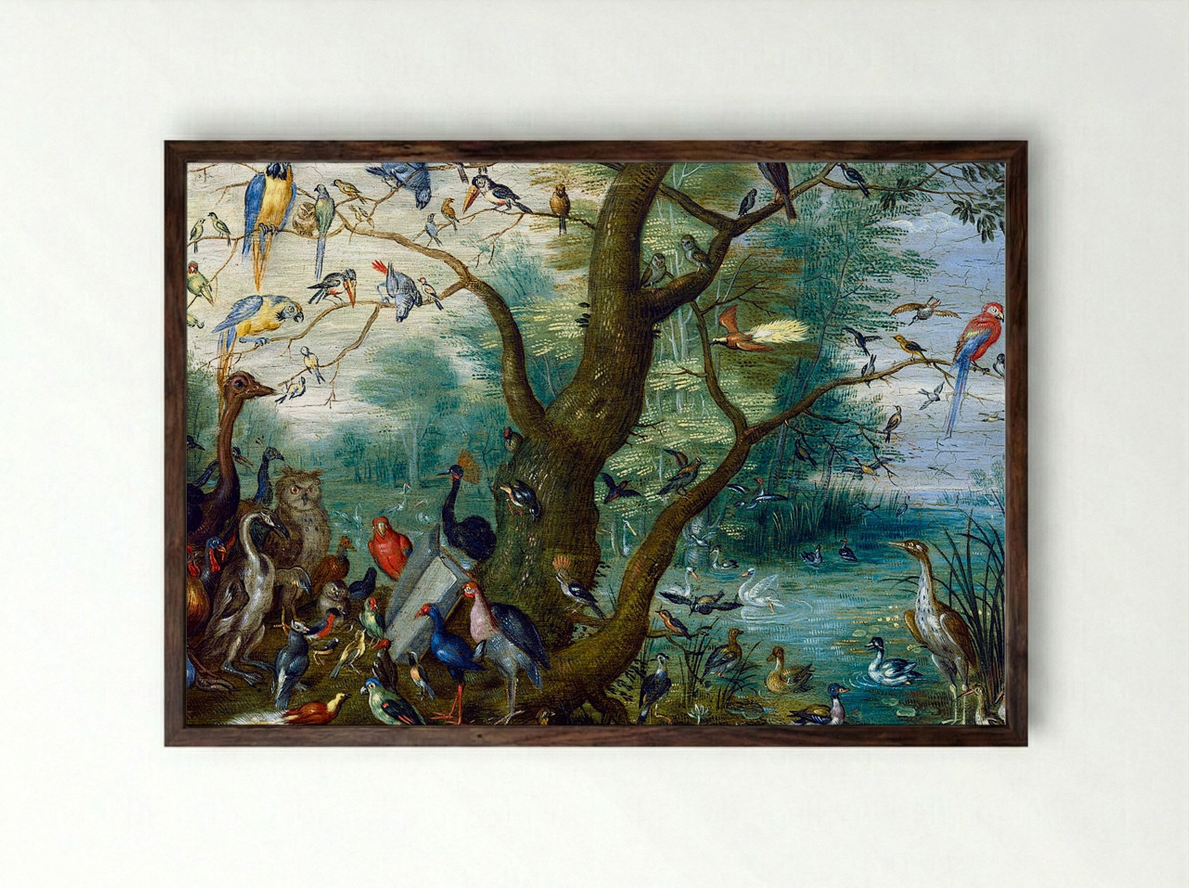 Concert of Birds - Jan van Kessel the Elder - Framed Print Dark Wood