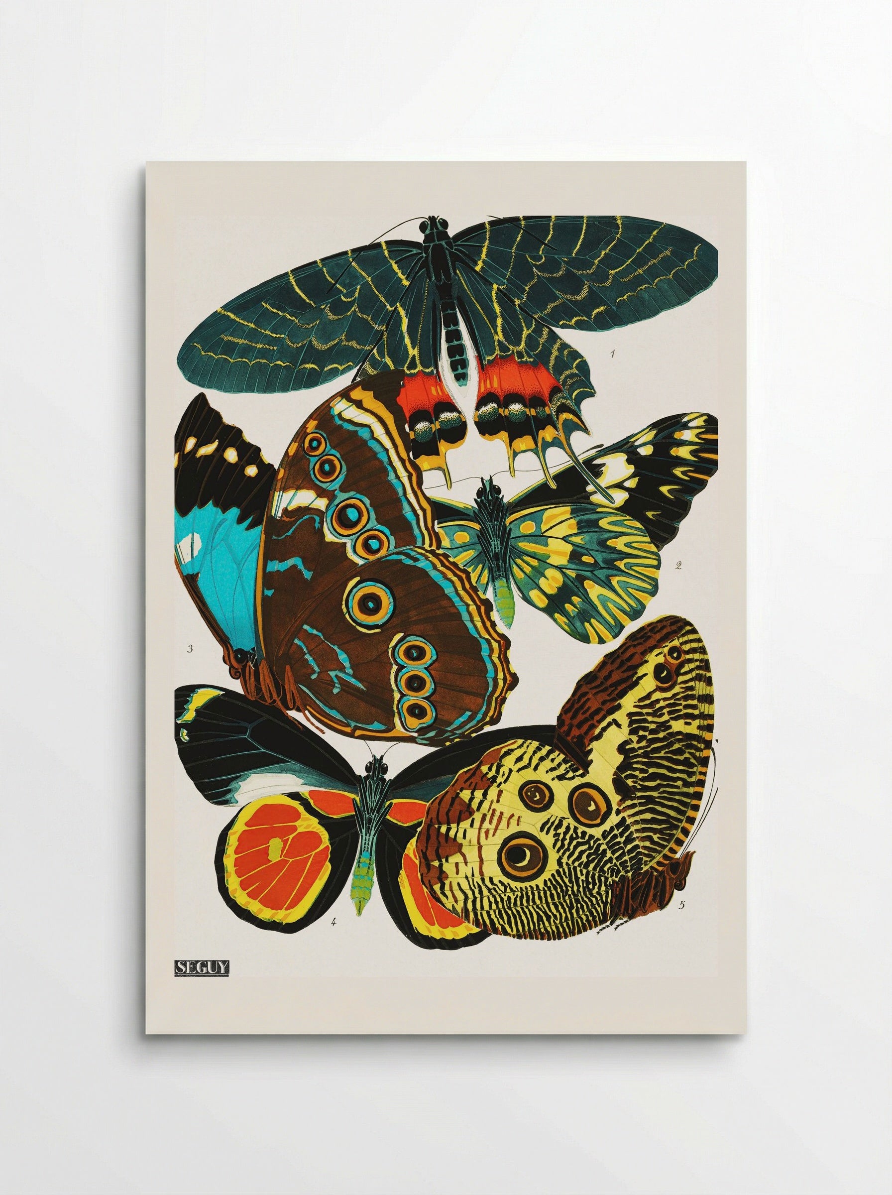 Butterflies (Plate 2) - Eugène Alain Séguy - Poster