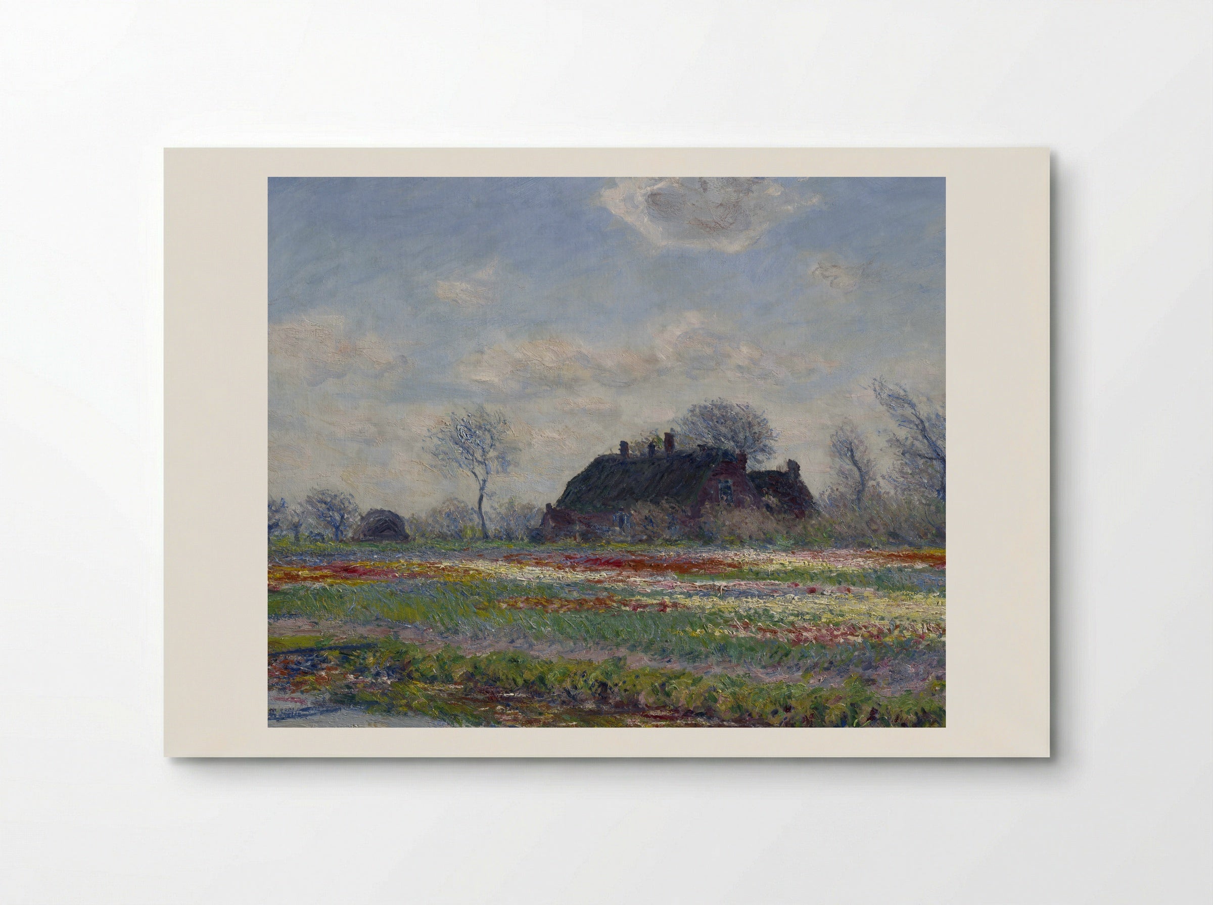 Tulip Fields at Sassenheim - Claude Monet - Poster
