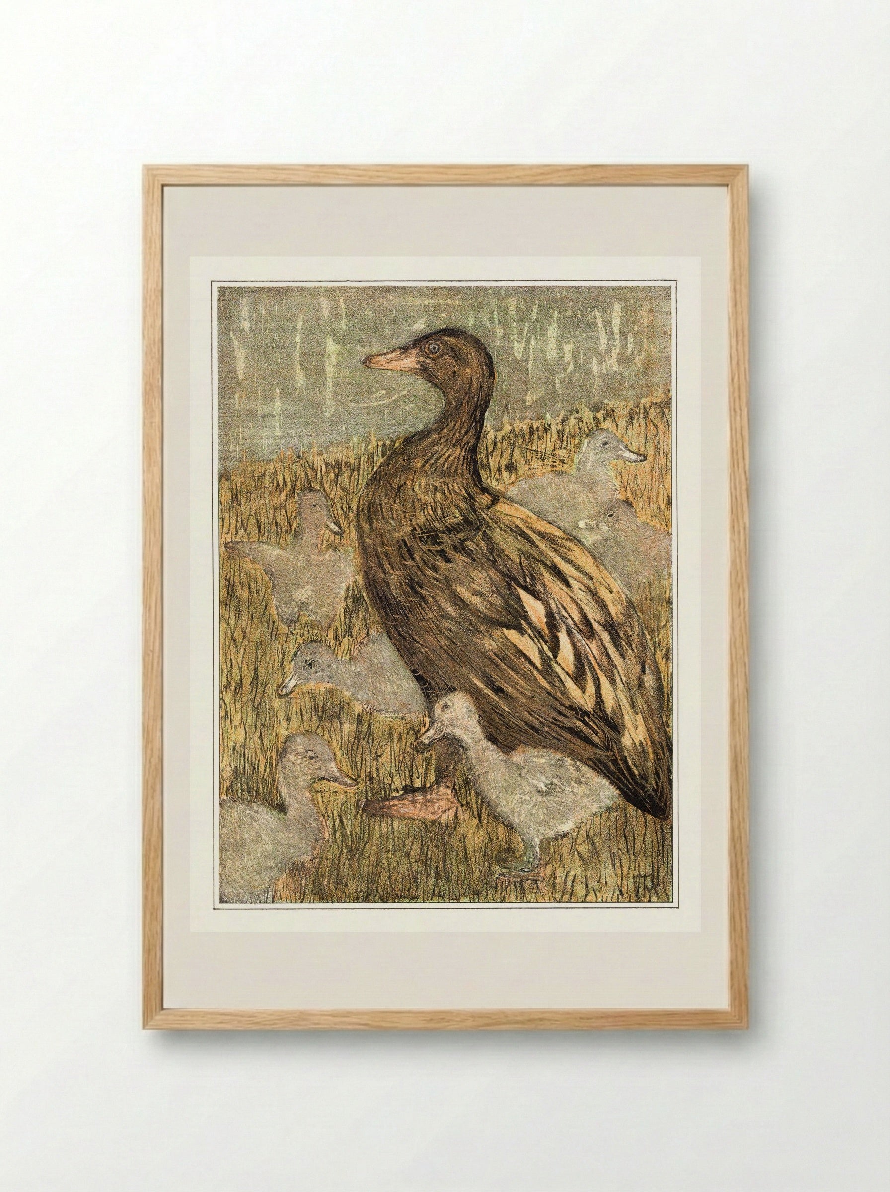 Duck with Ducklings by the Waterside - Theo van Hoytema - Framed Print Wood