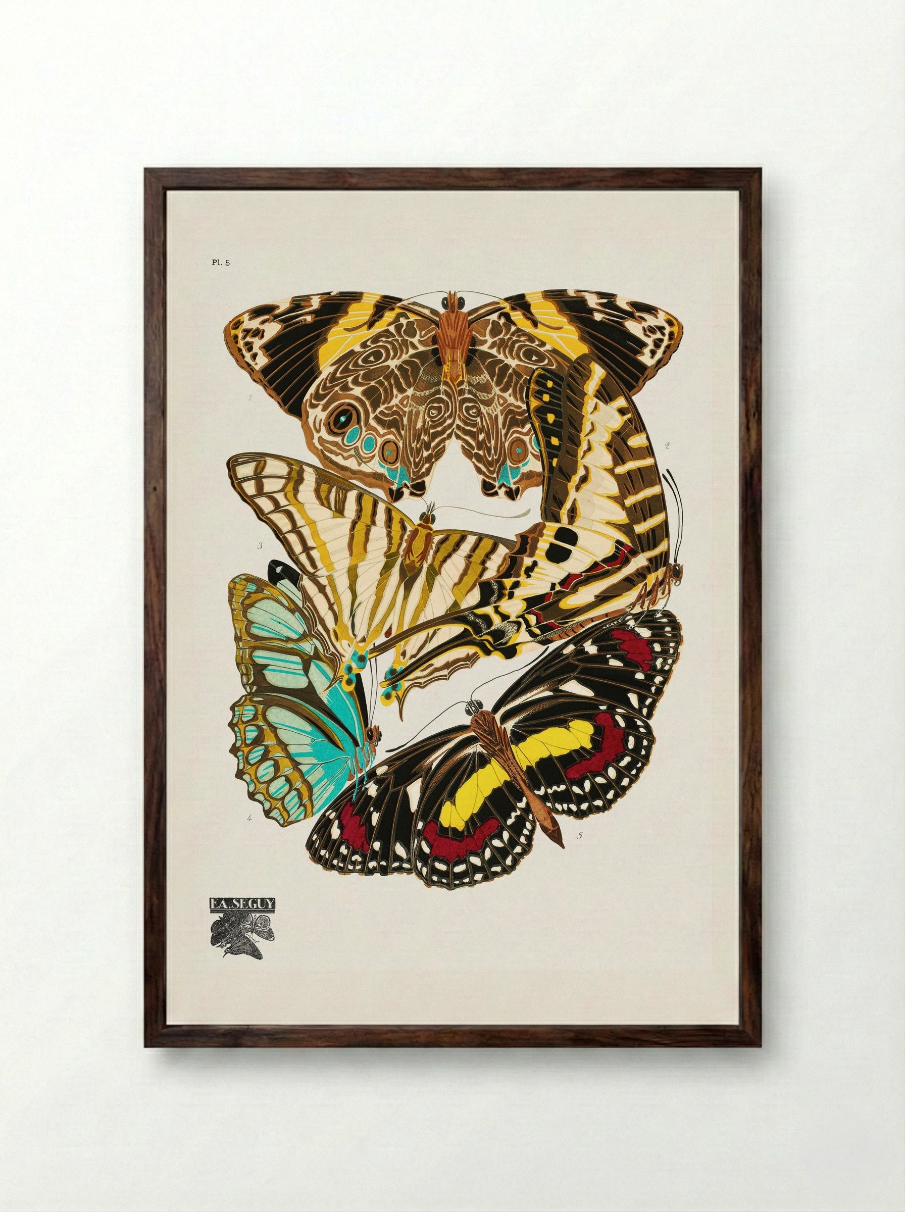 Butterflies, Plate 5 - Émile-Allain Séguy - Framed Print Dark Wood