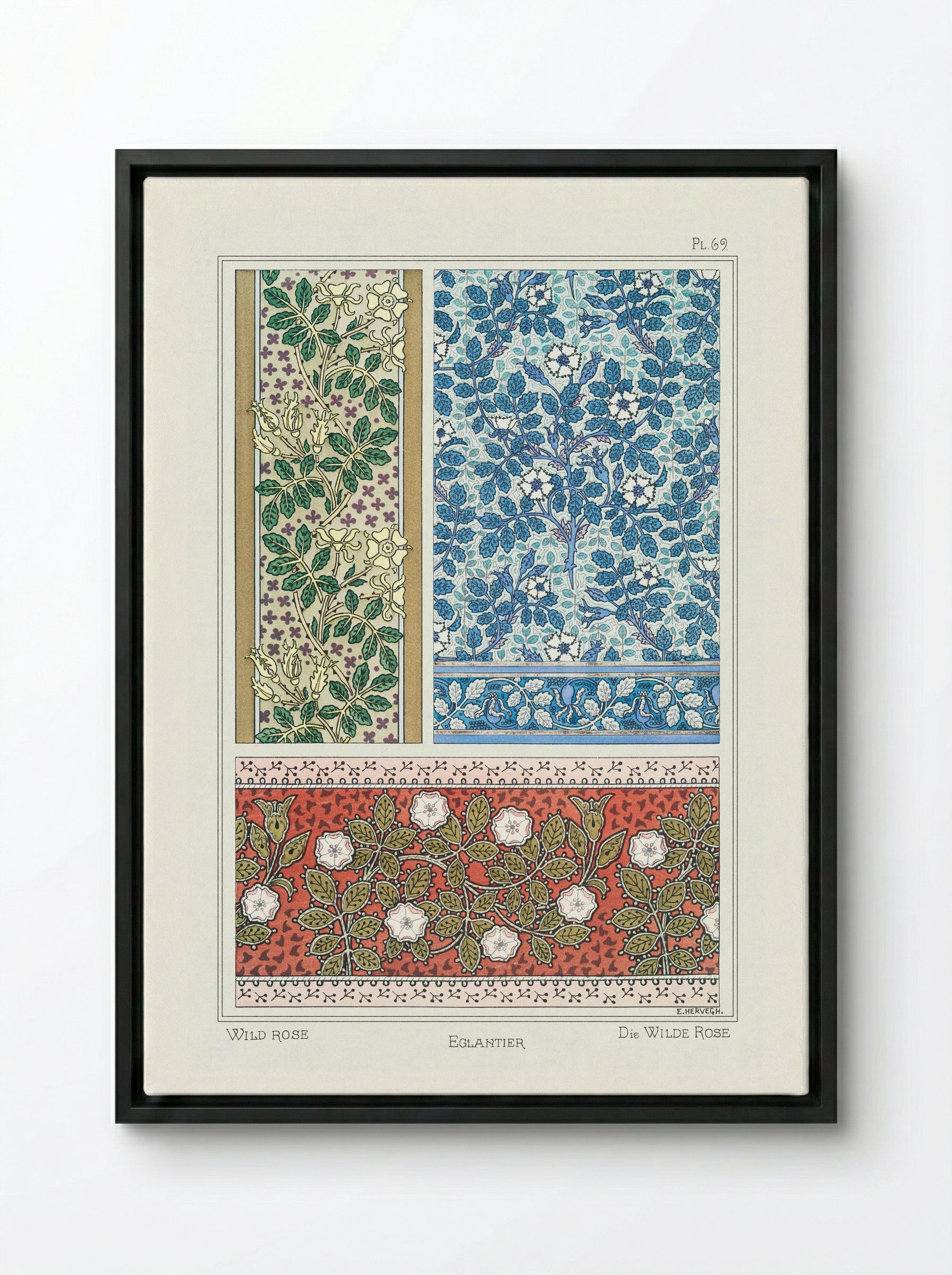 Eglantier (Wild Rose) from La Plante et ses Applications ornementales - Maurice Pillard Verneuil - Framed Canvas Black