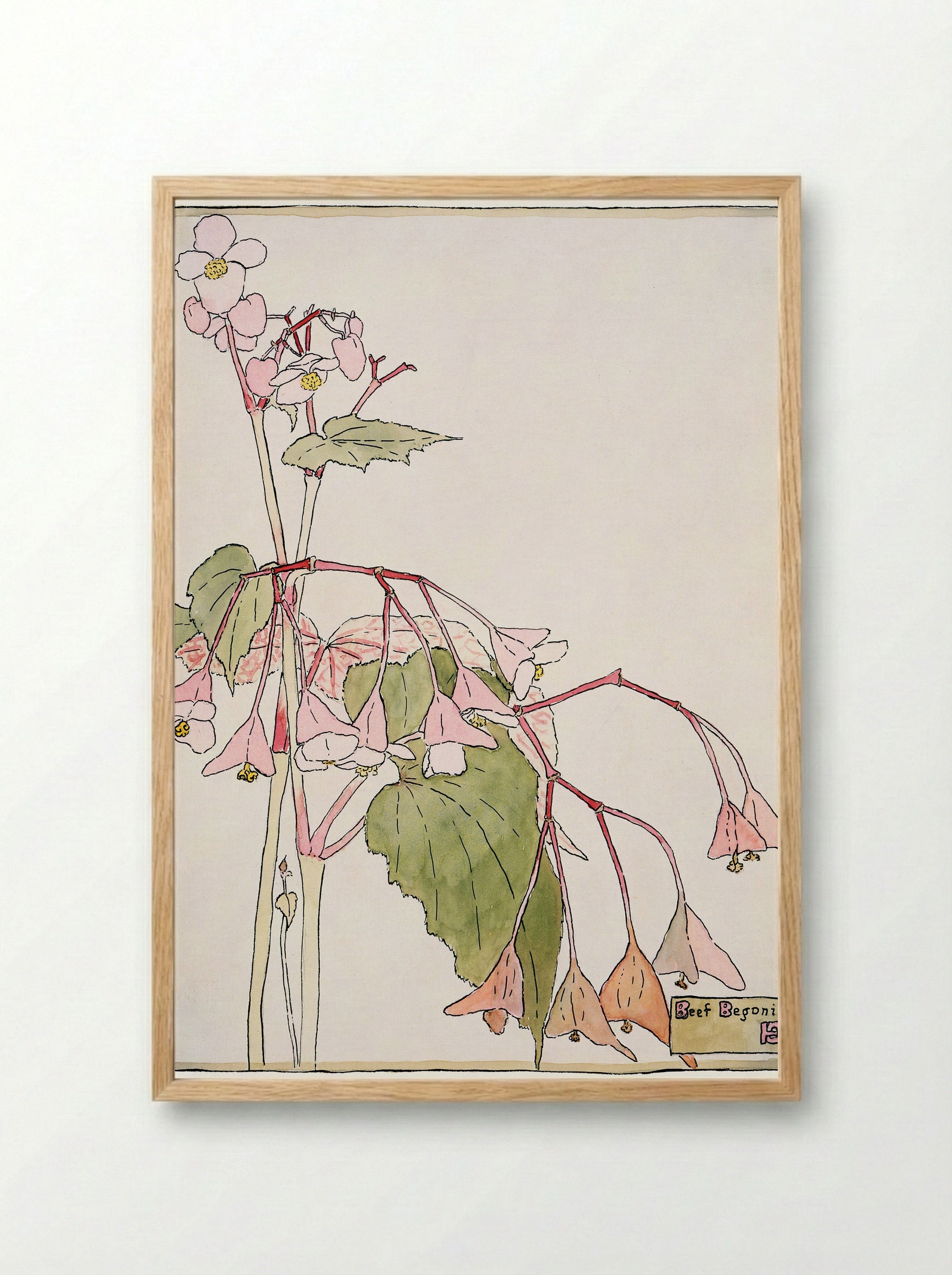 Beef Begonia (1915) - Hannah Borger Overbeck - Framed Print Wood