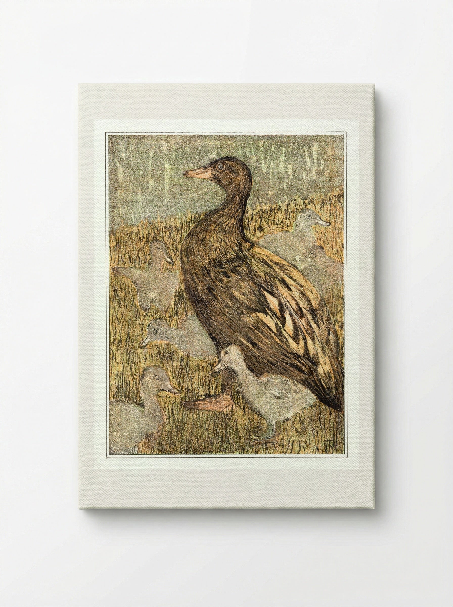 Duck with Ducklings by the Waterside - Theo van Hoytema - Canvas