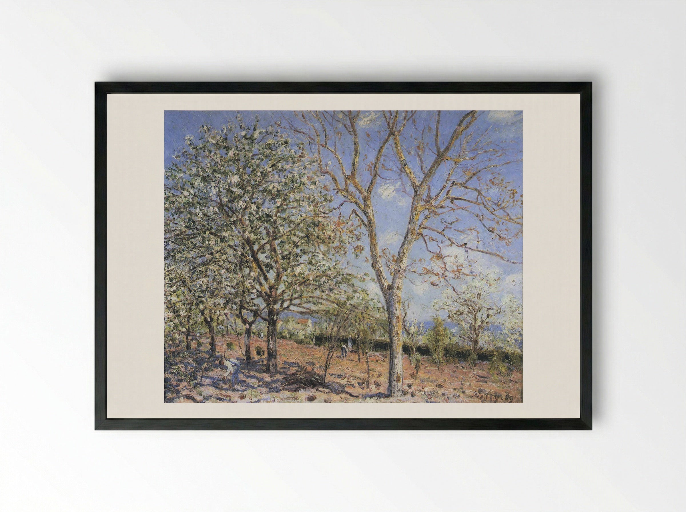 Trees in Bloom - Camille Pissarro - Framed Print Black