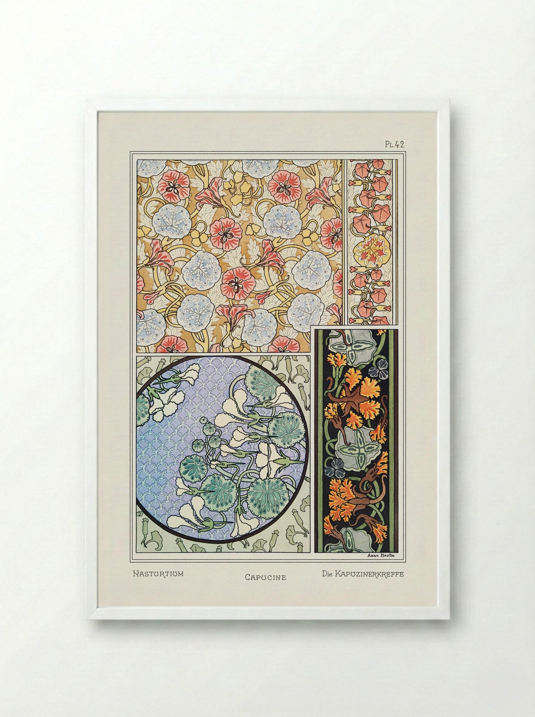 Capucine (Nasturtium) from La Plante et ses Applications ornementales - Maurice Pillard Verneuil - Framed Print White