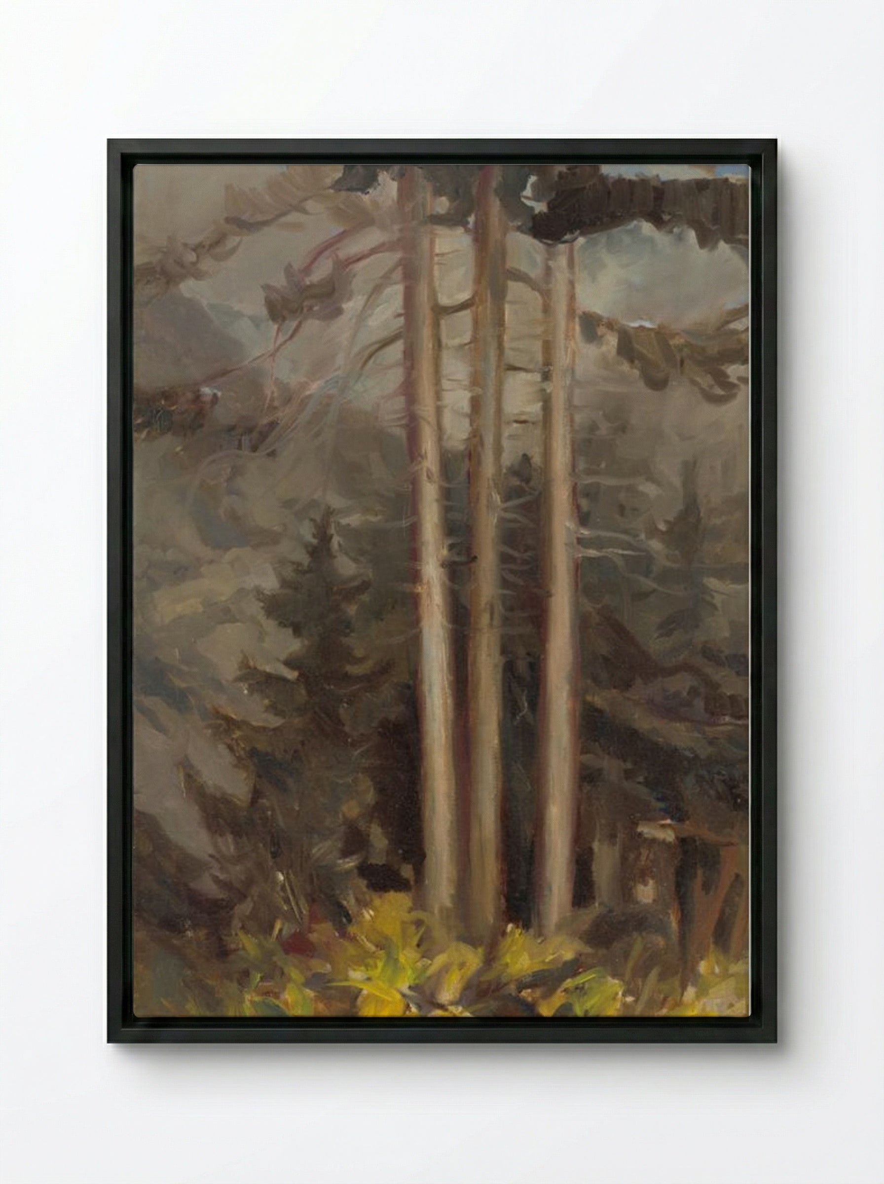 Spruce - Zolo Palugyay - Framed Canvas Black