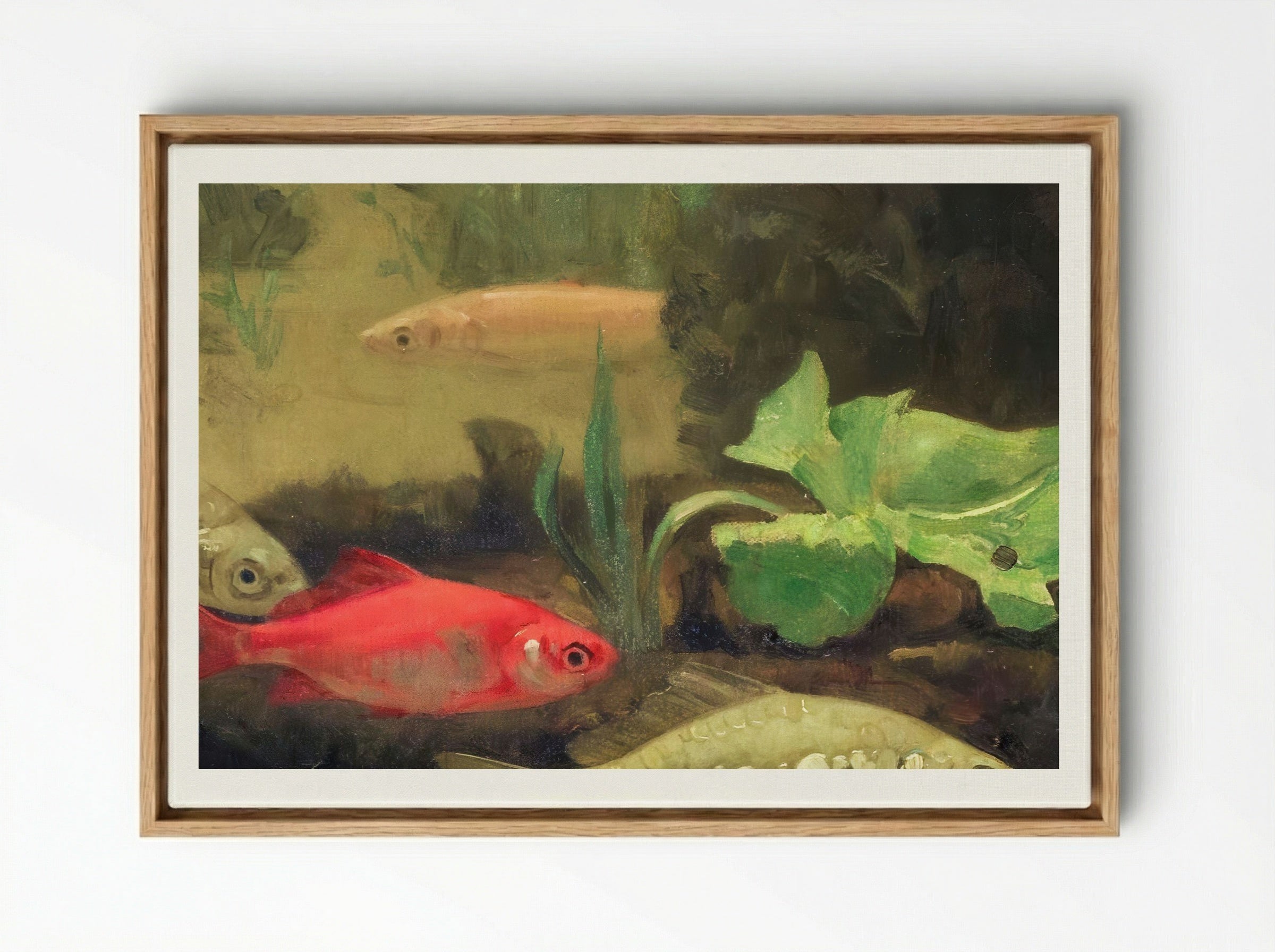 Gold and Silverfish in an Aquarium - Gerrit Willem Dijsselhof - Framed Canvas Wood