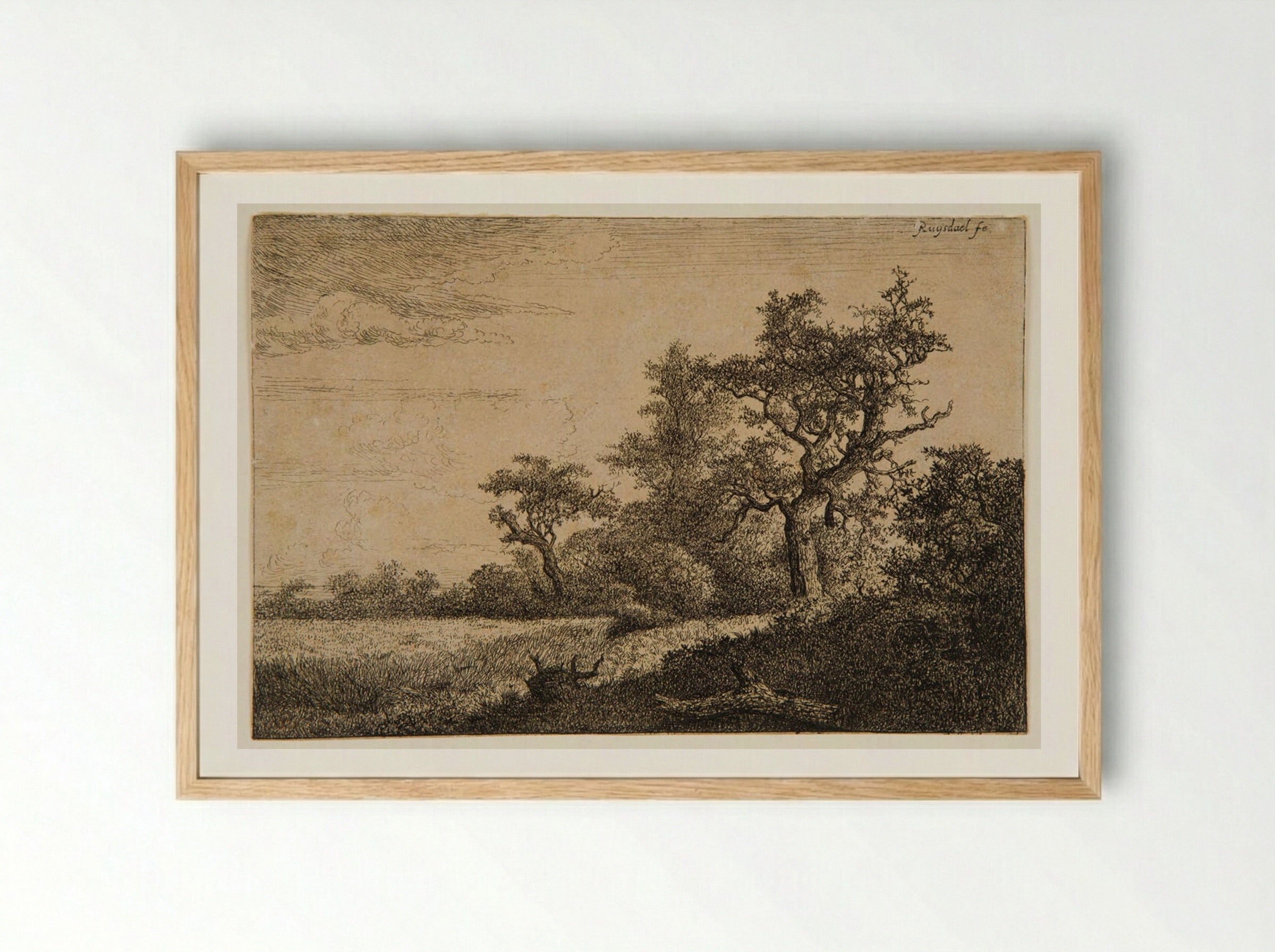 Grain Field at the Edge of a Wood - Jacob van Ruisdael - Framed Print Wood