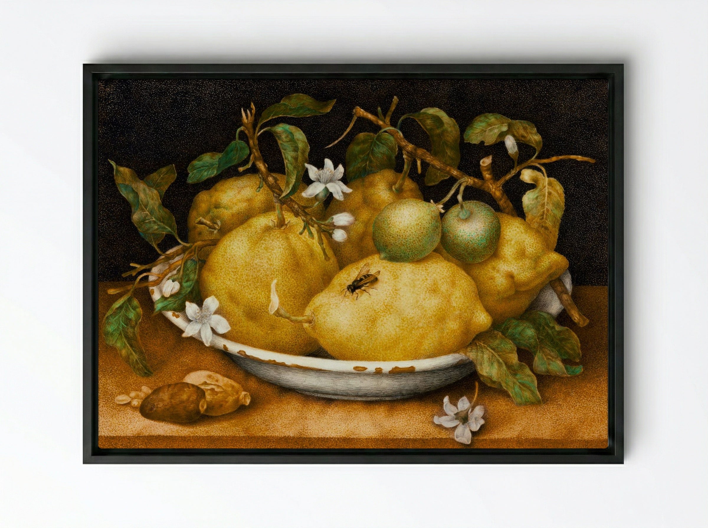 Still Life with Bowl of Citrons - Giovanna Garzoni - Framed Canvas Black