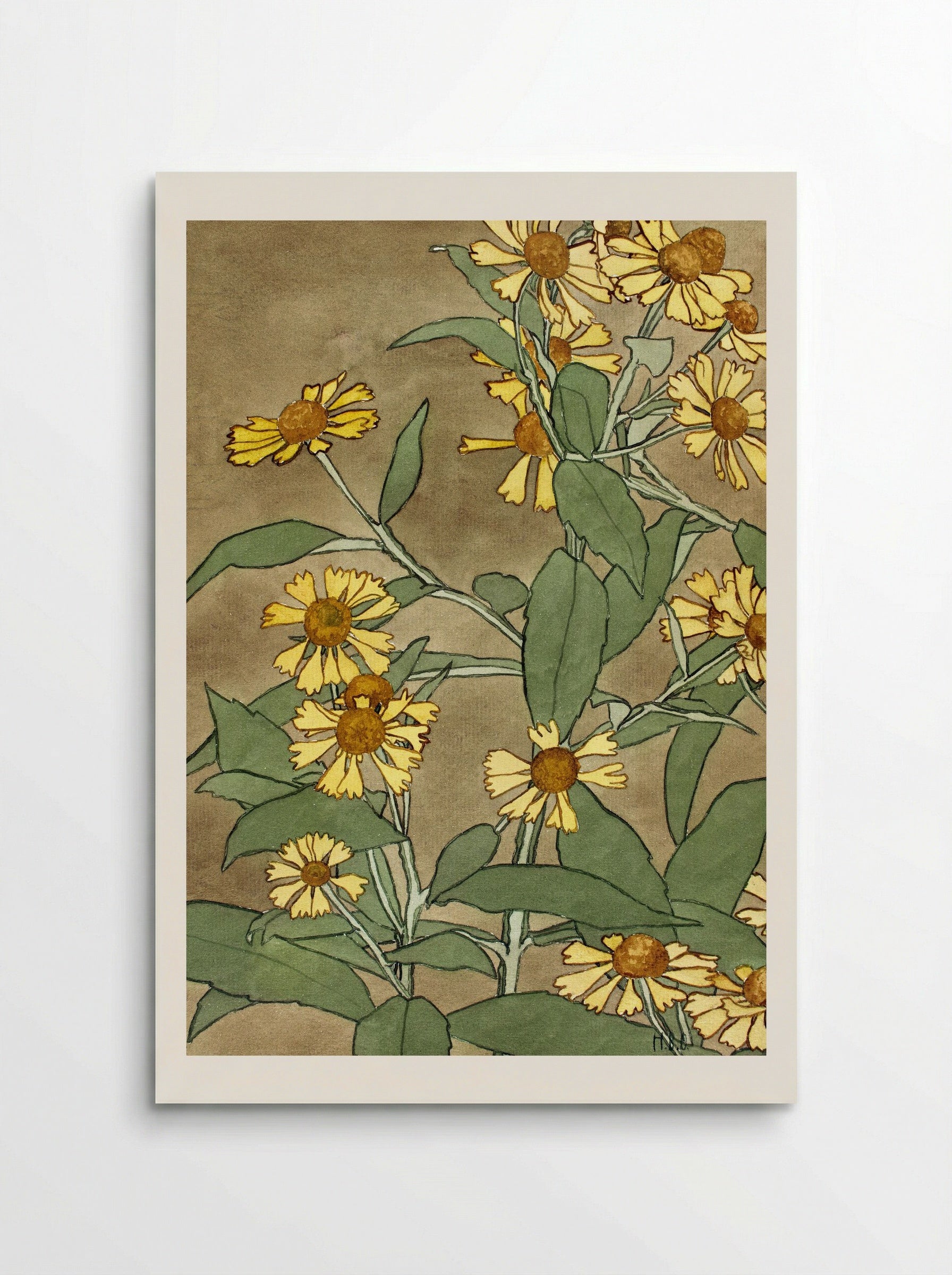 Daisies with Orange Center and Yellow Petals (1915) - Hannah Borger Overbeck - Poster
