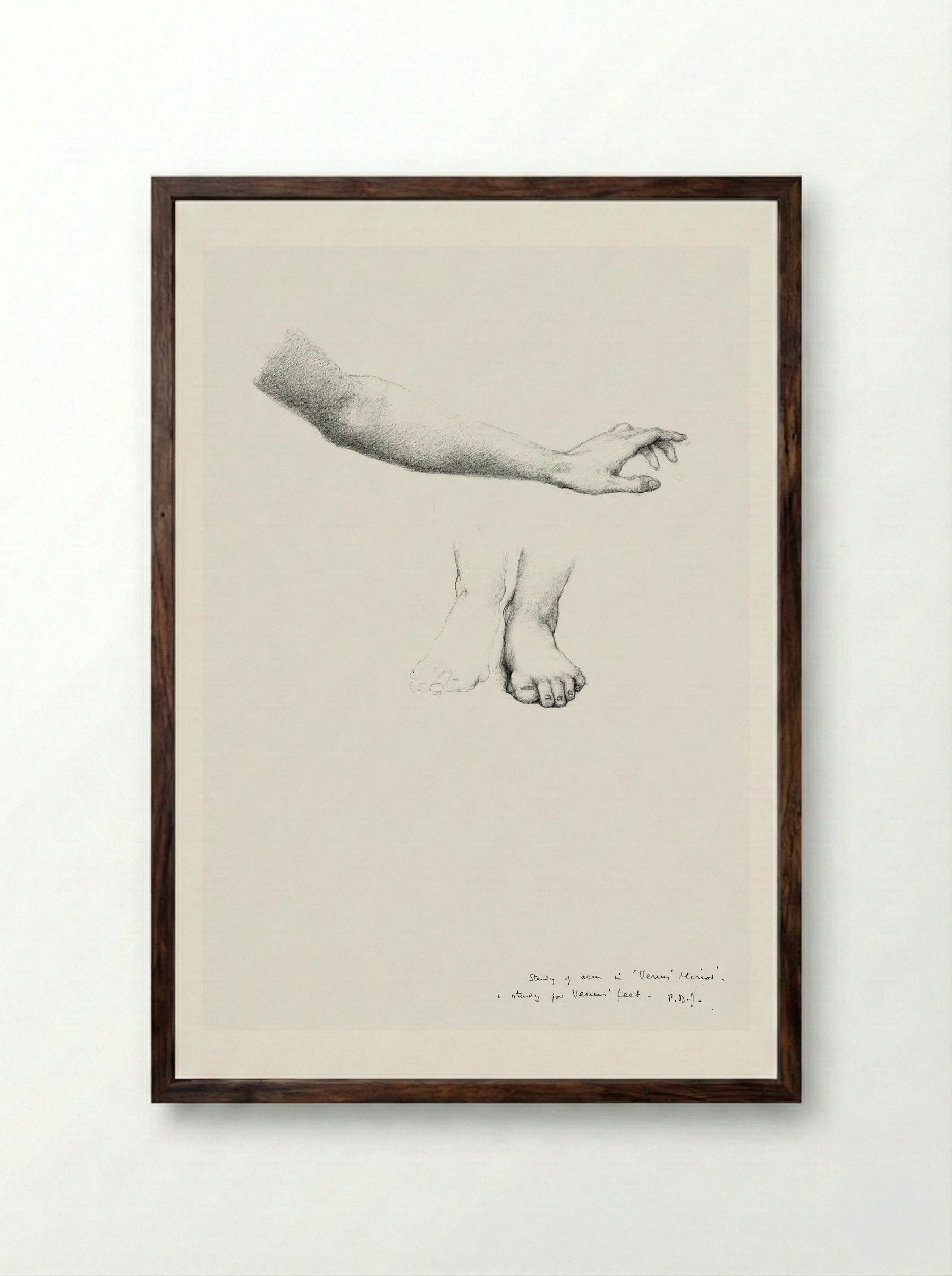 Study of Arm and Feet for 'The Mirror of Venus' - Edward Burne-Jones - Framed Print Dark Wood