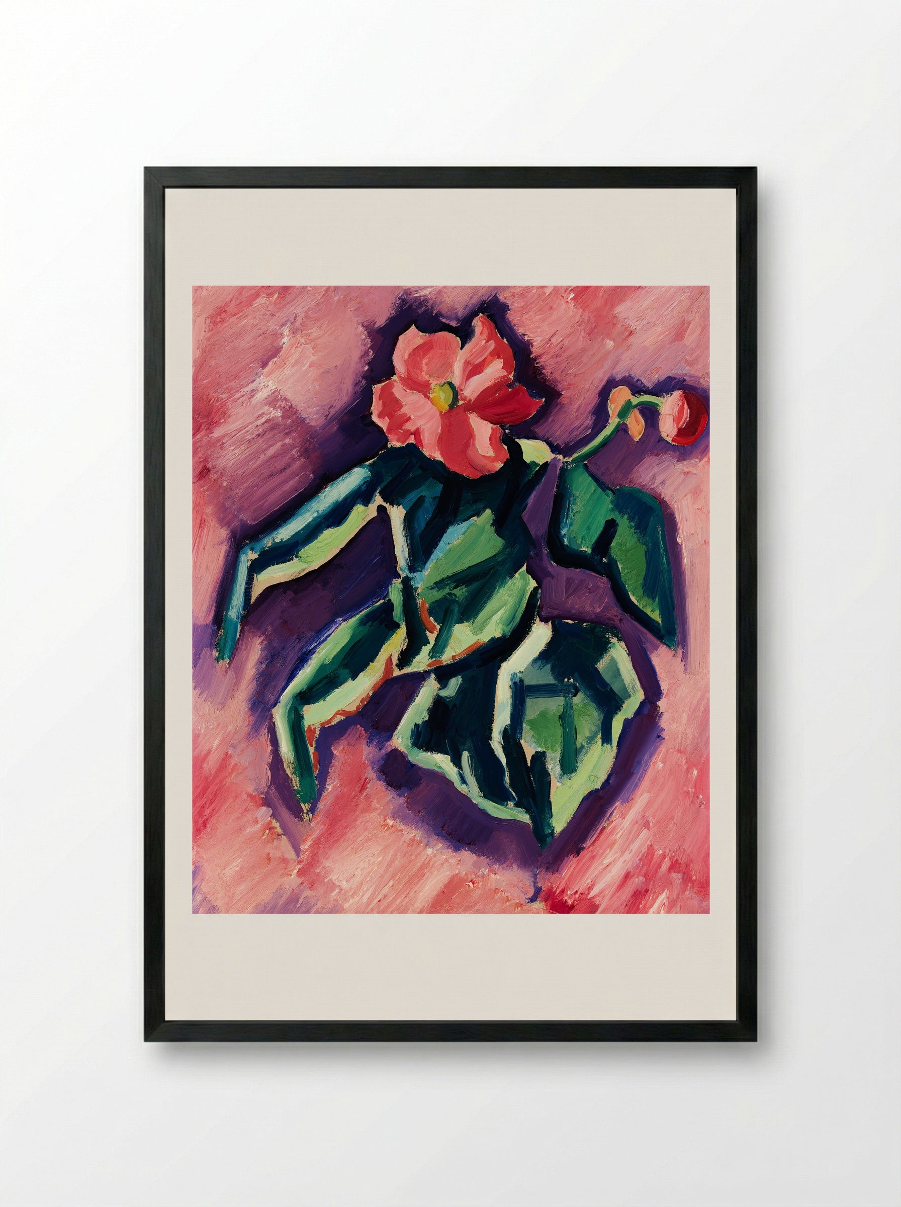 Pink Begonias - Marsden Hartley - Framed Print Black