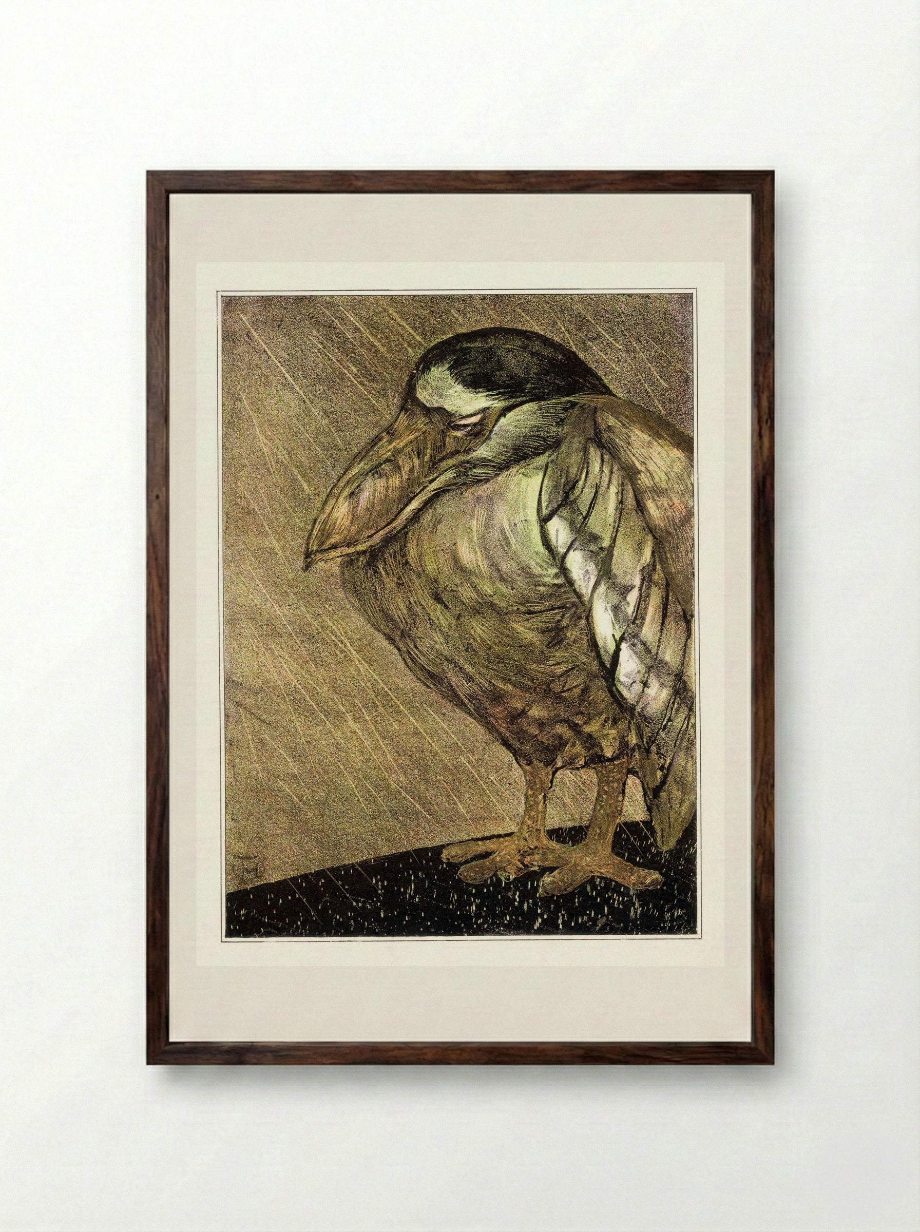 Schuitbekreiger in de regen (Night Heron in the Rain) - Theodorus van Hoytema - Framed Print Dark Wood
