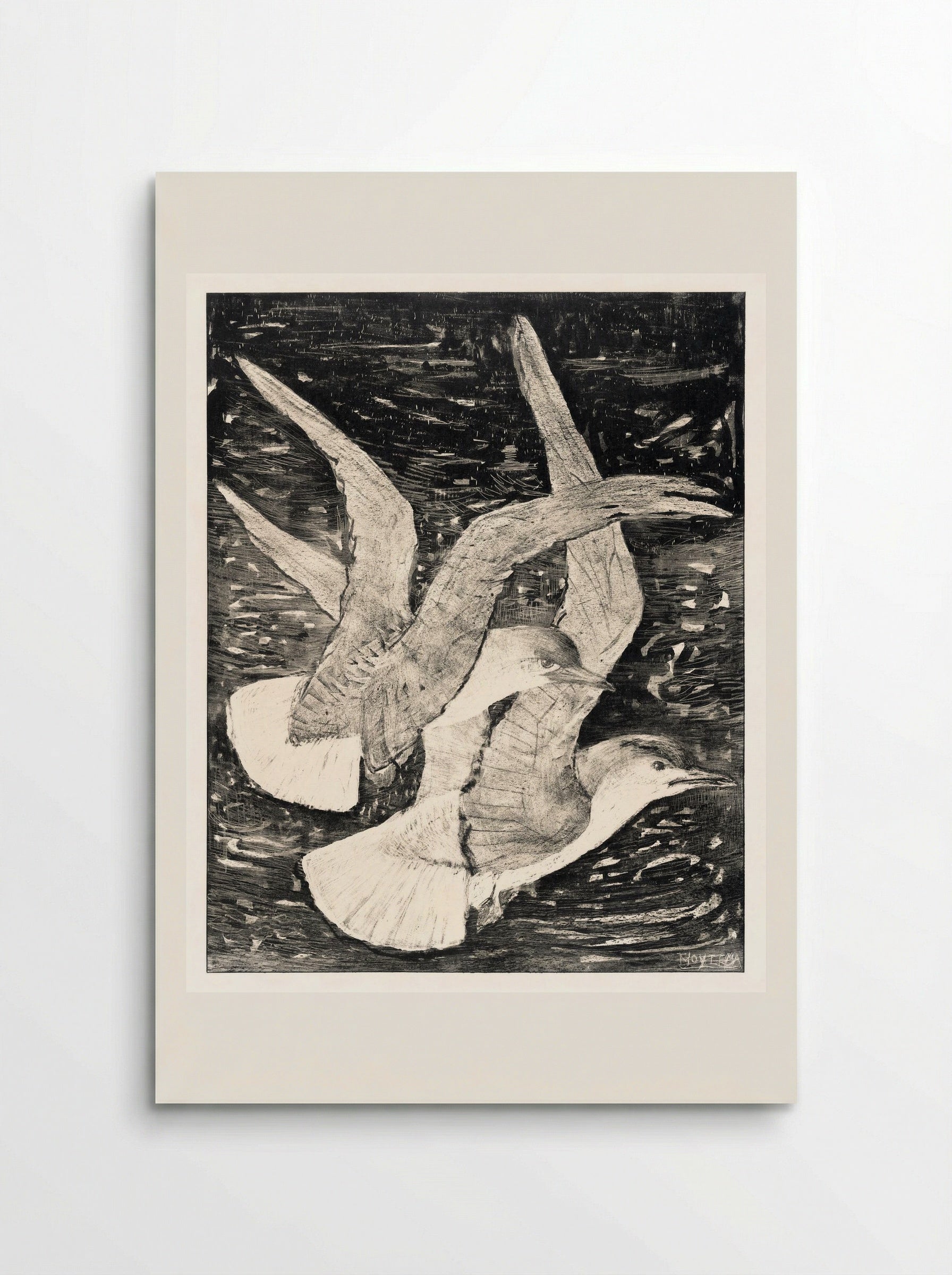 Two Flying Gulls - Theo van Hoytema - Poster
