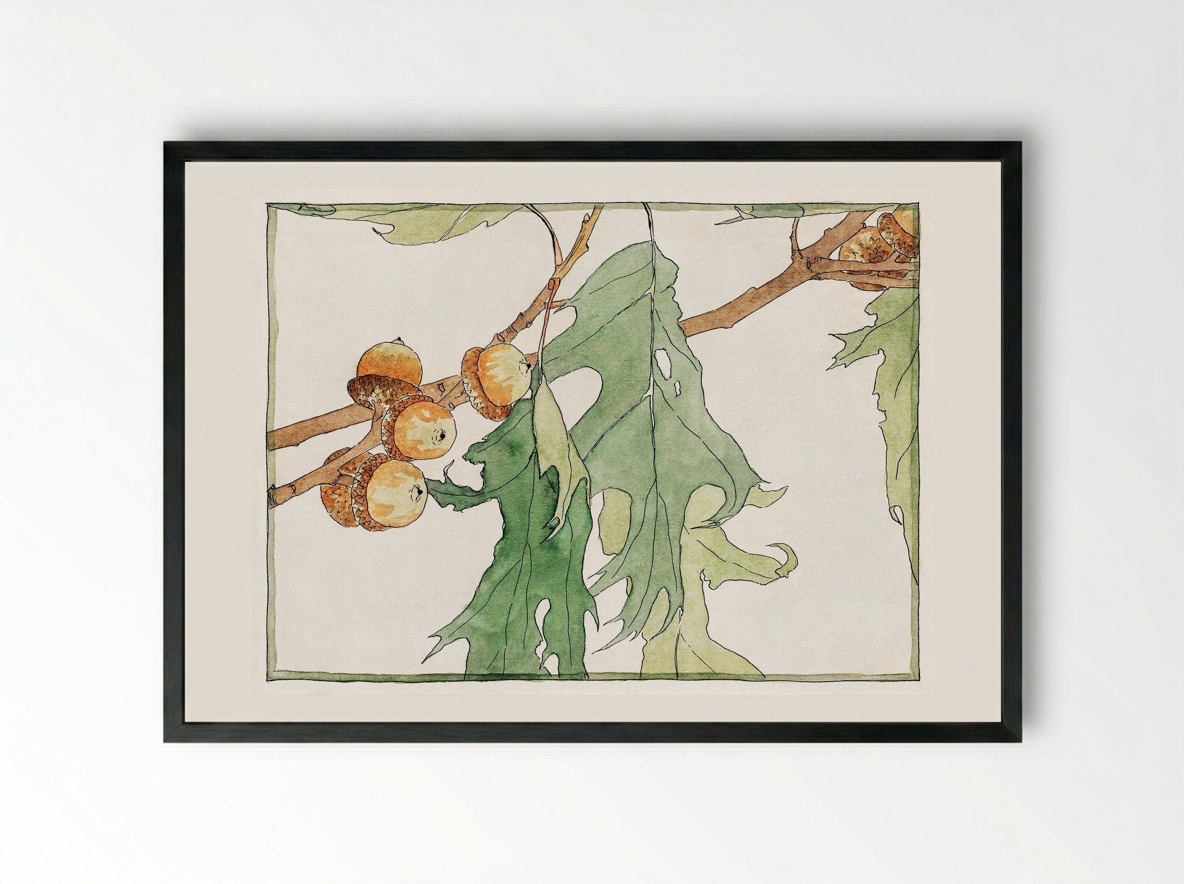 Oak Acorns (1915) - Hannah Borger Overbeck - Framed Print Black
