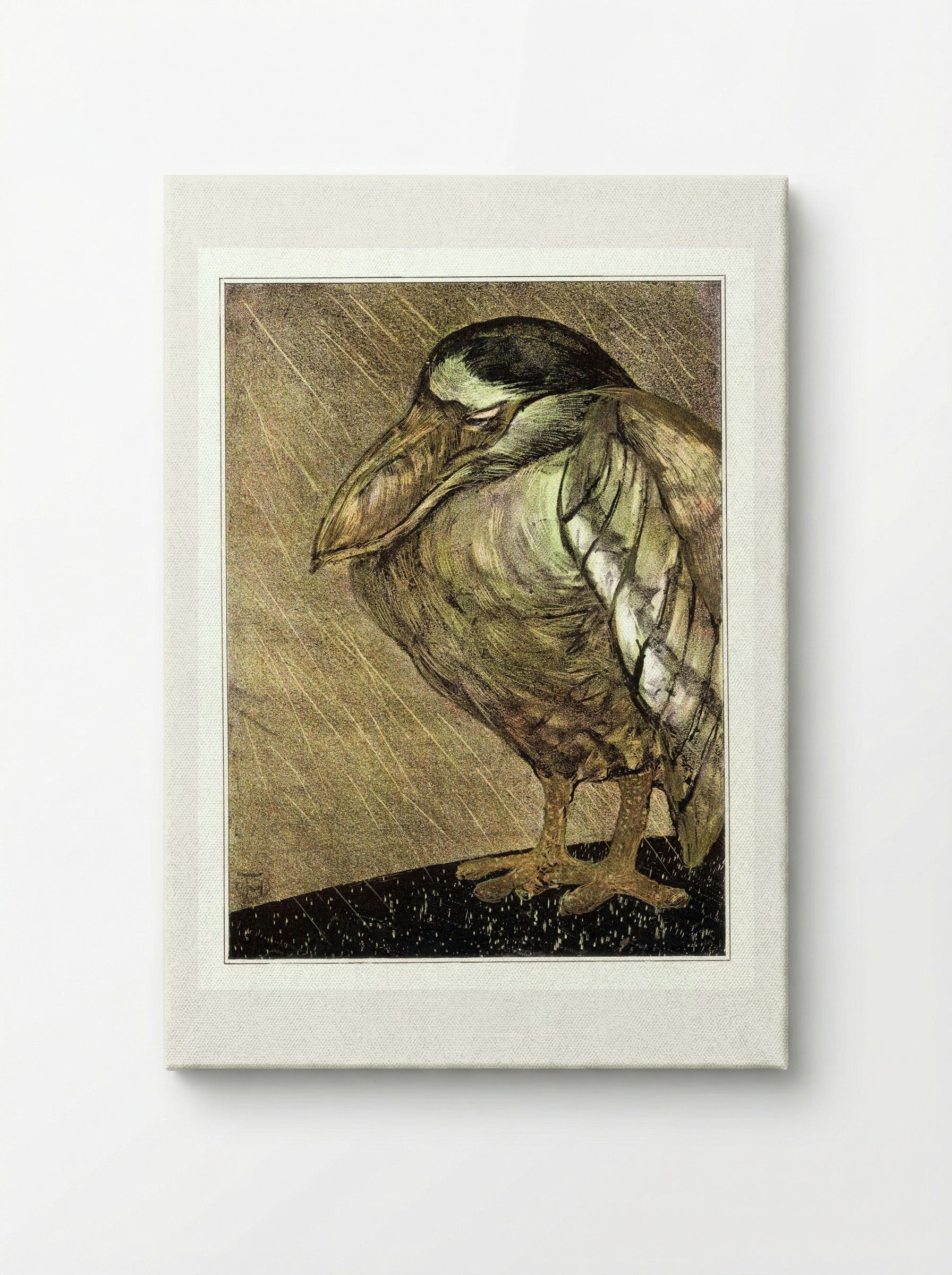 Schuitbekreiger in de regen (Night Heron in the Rain) - Theodorus van Hoytema - Canvas