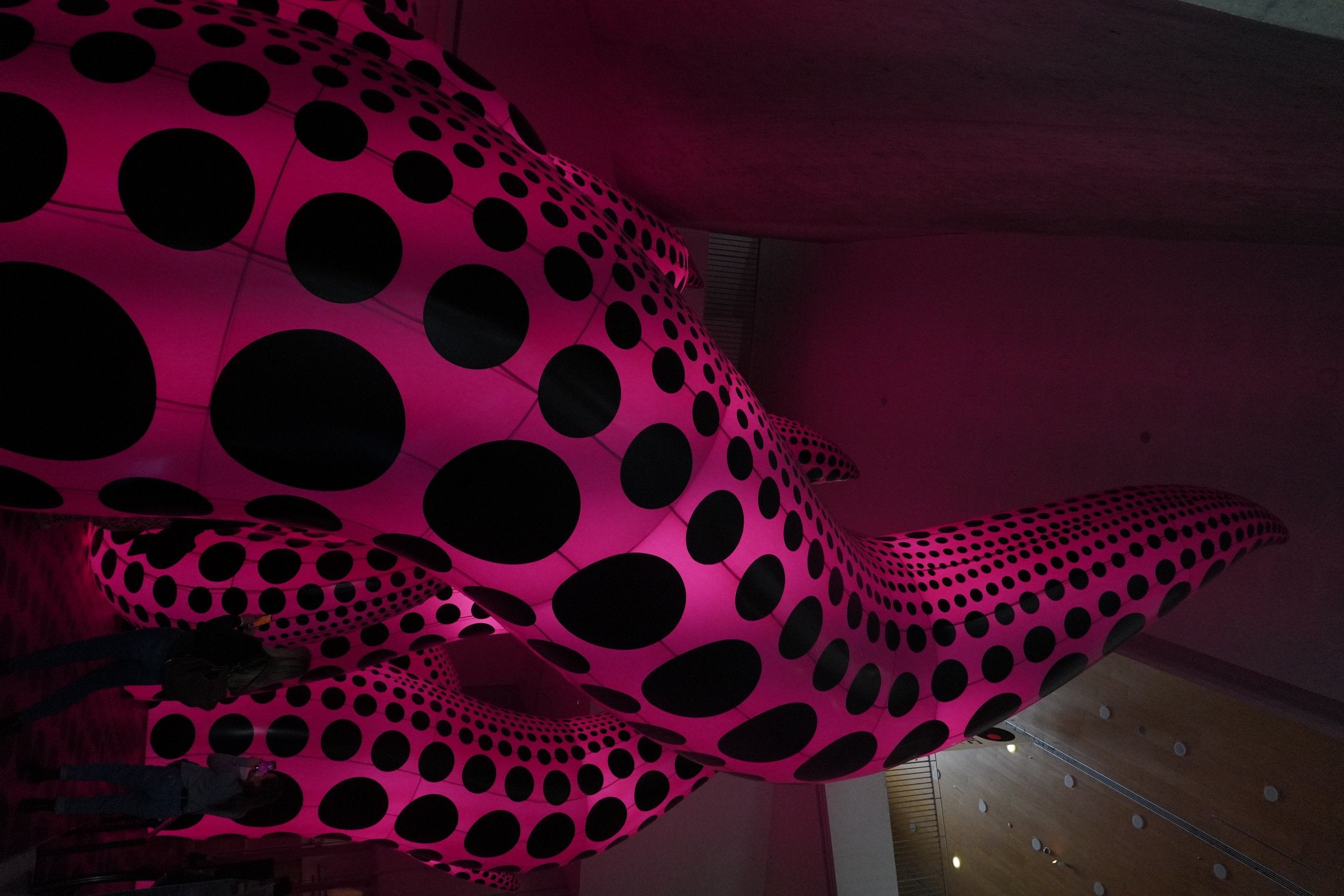 A Yayoi Kusama exhibition installation at the Tel Aviv Museum of Art.