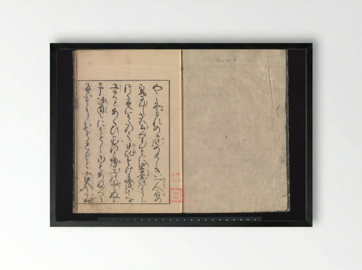 A Beginner’s Pictorial Encyclopedia of Natural History - Tachibana Morikuni - Framed Print Black