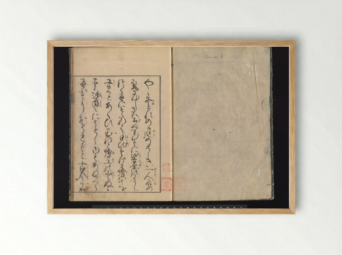 A Beginner’s Pictorial Encyclopedia of Natural History - Tachibana Morikuni - Framed Print Wood