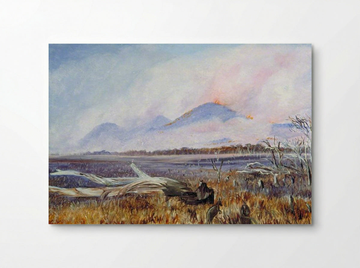 A Bush Fire at Sunset, Queensland - Marianne North - Poster