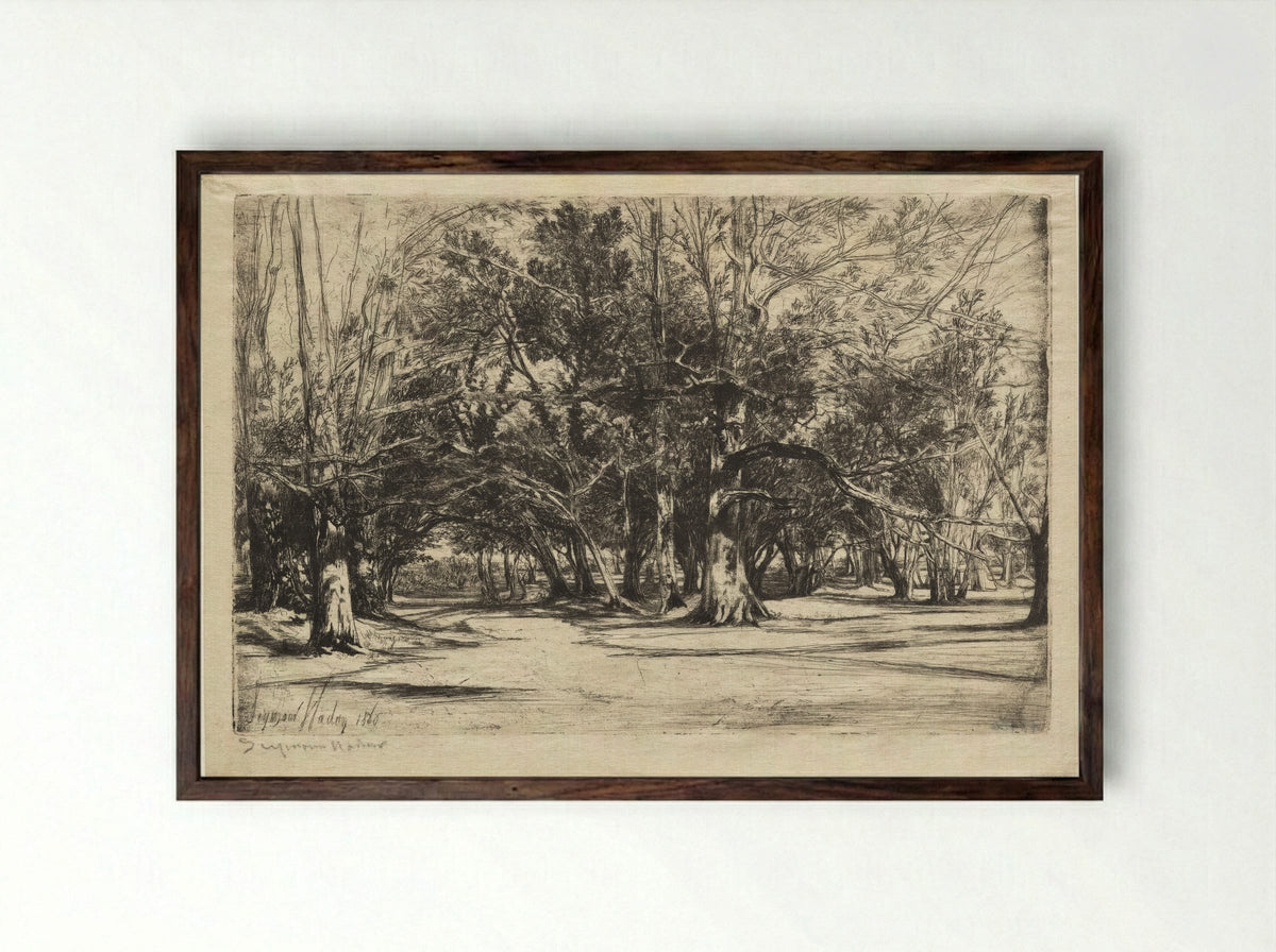 A By-Road in Tipperary - Francis Seymour Haden - Framed Print Dark Wood