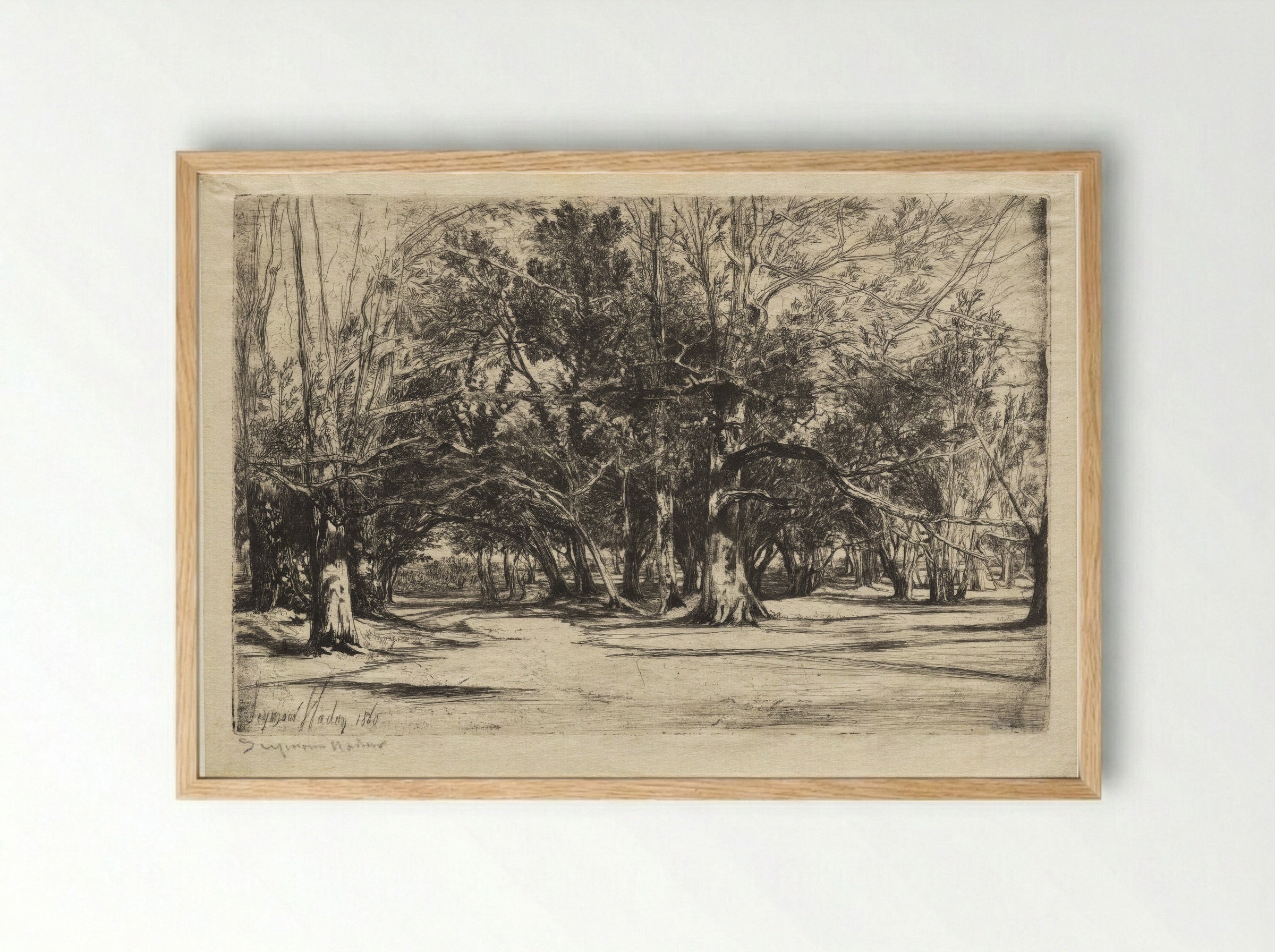A By-Road in Tipperary - Francis Seymour Haden - Framed Print Wood