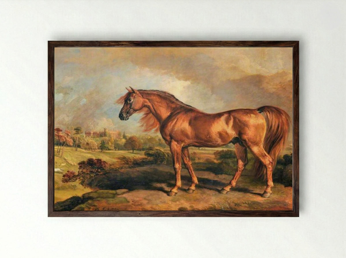 A Chestnut Stallion in the Grounds of Powis Castle - James Ward - Framed Print Dark Wood