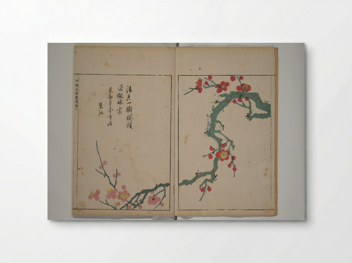 A Collection of Lively Sketches of the Ming Dynasty - Ooka Shunboku - Poster