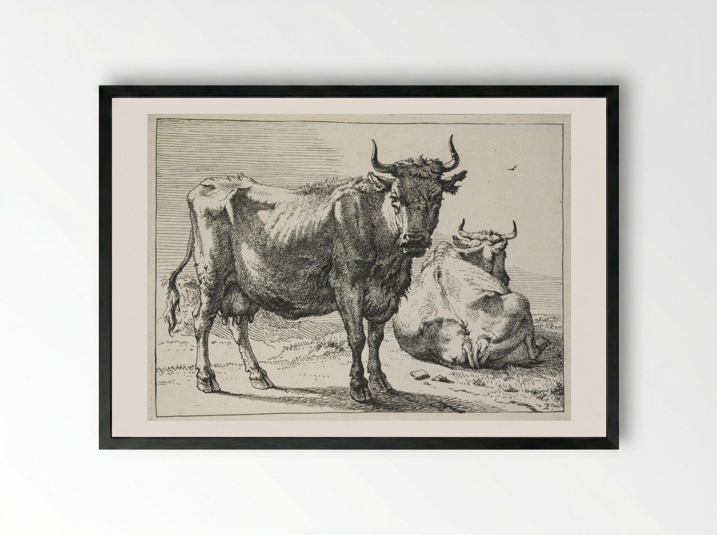 A Cow Standing and Another Lying Down - Paulus Potter - Framed Print Black