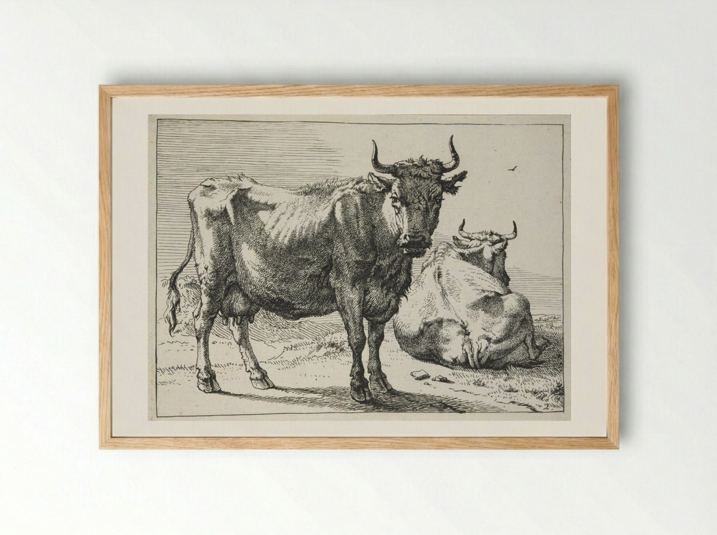A Cow Standing and Another Lying Down - Paulus Potter - Framed Print Wood
