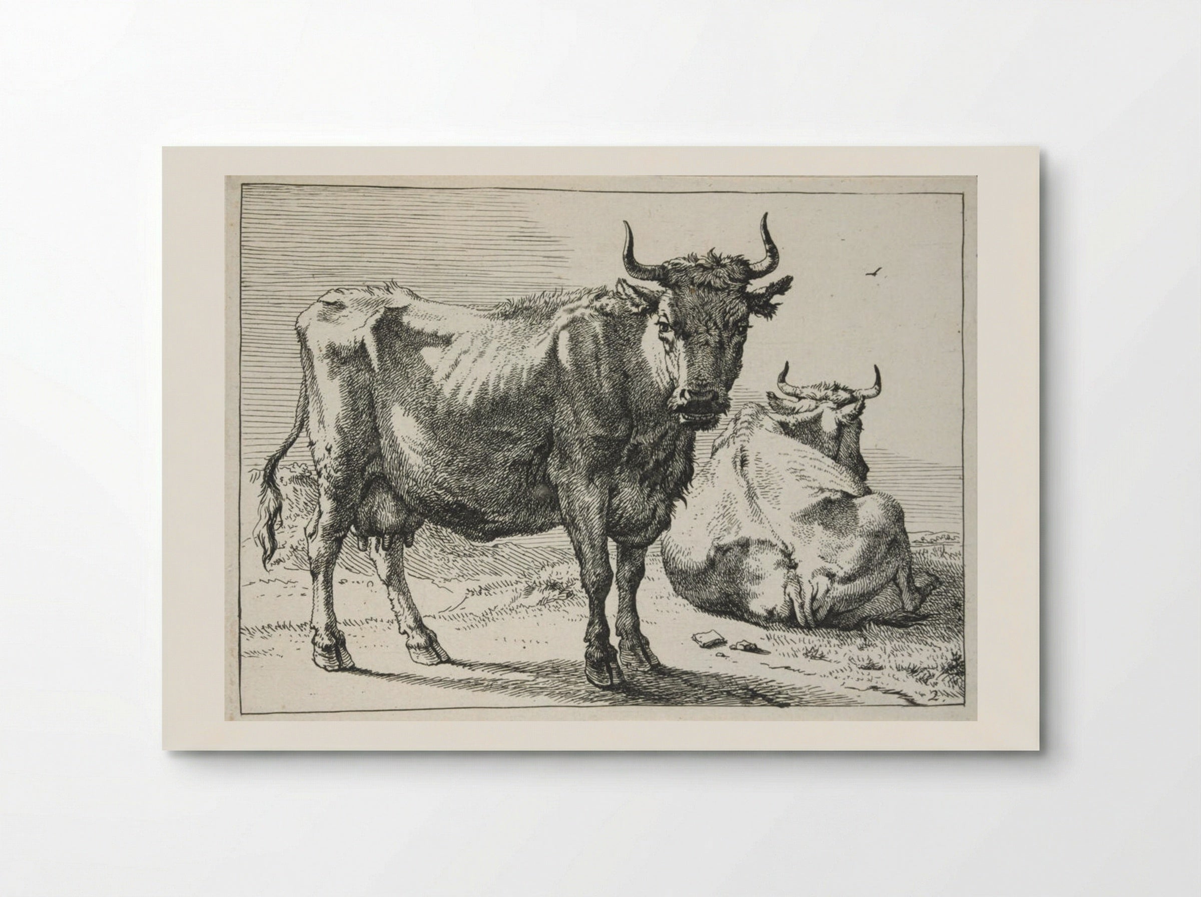 A Cow Standing and Another Lying Down - Paulus Potter - Poster