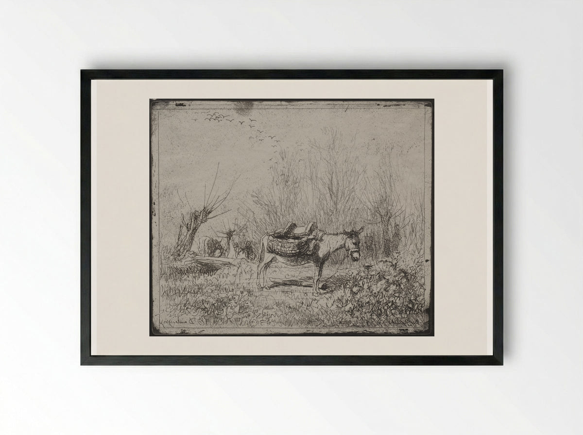 A Donkey in the Field - Charles-François Daubigny - Framed Print Black