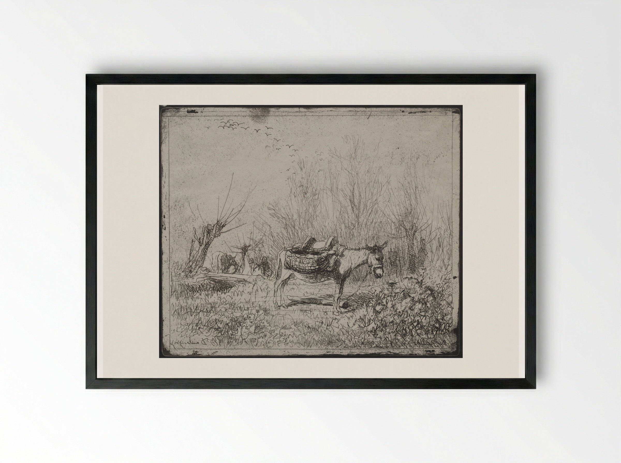 A Donkey in the Field - Charles-François Daubigny - Framed Print Black