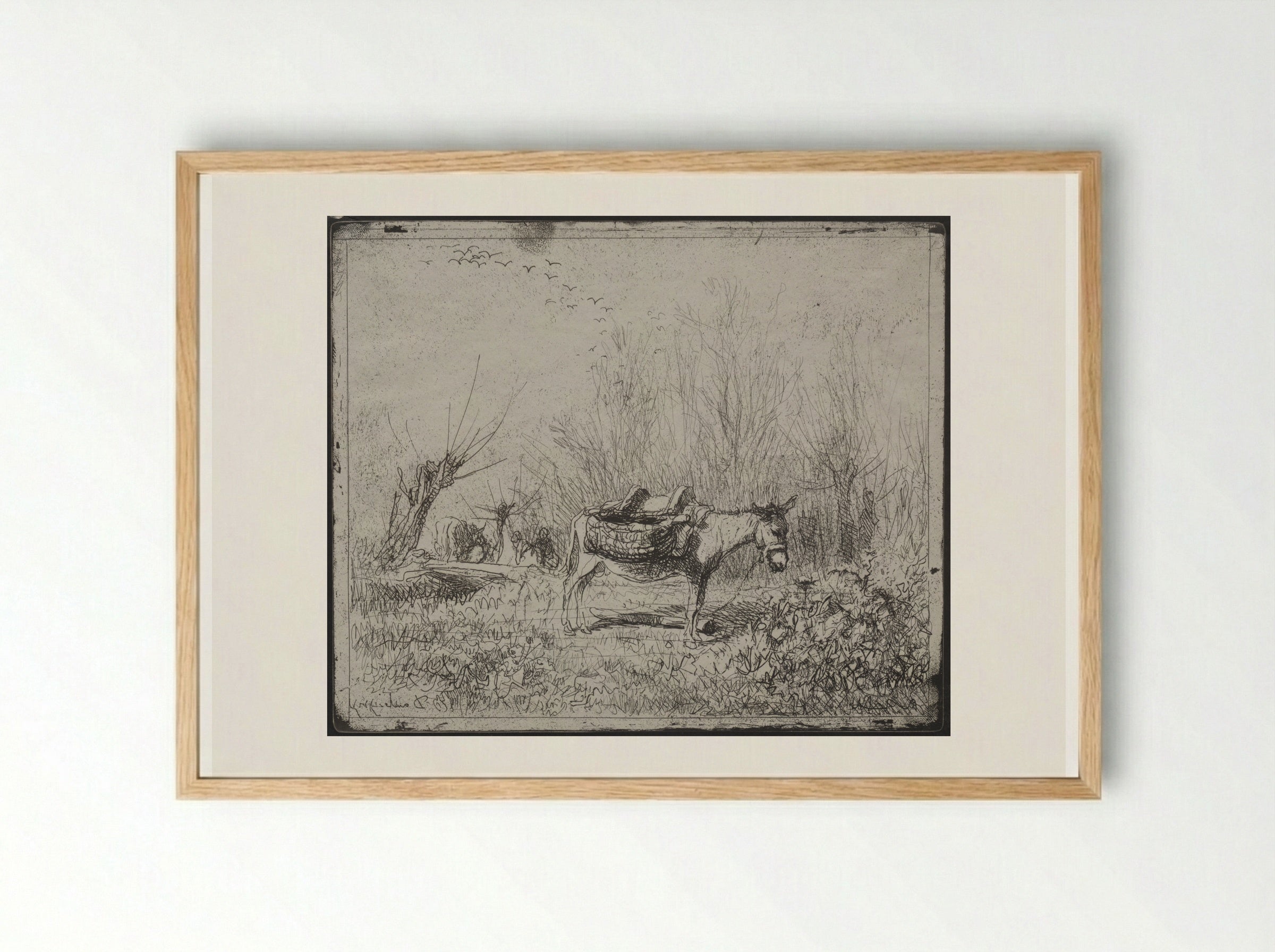 A Donkey in the Field - Charles-François Daubigny - Framed Print Wood