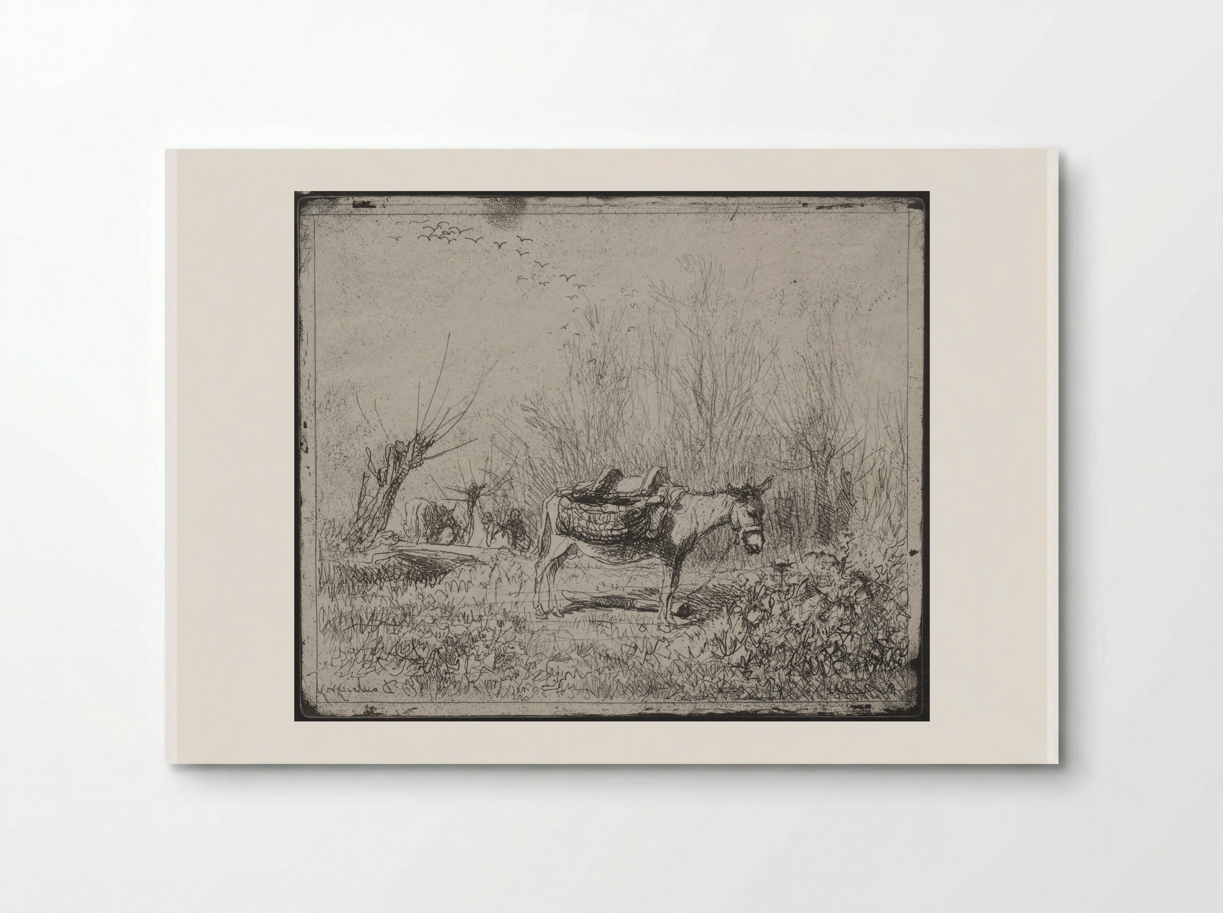 A Donkey in the Field - Charles-François Daubigny - Poster