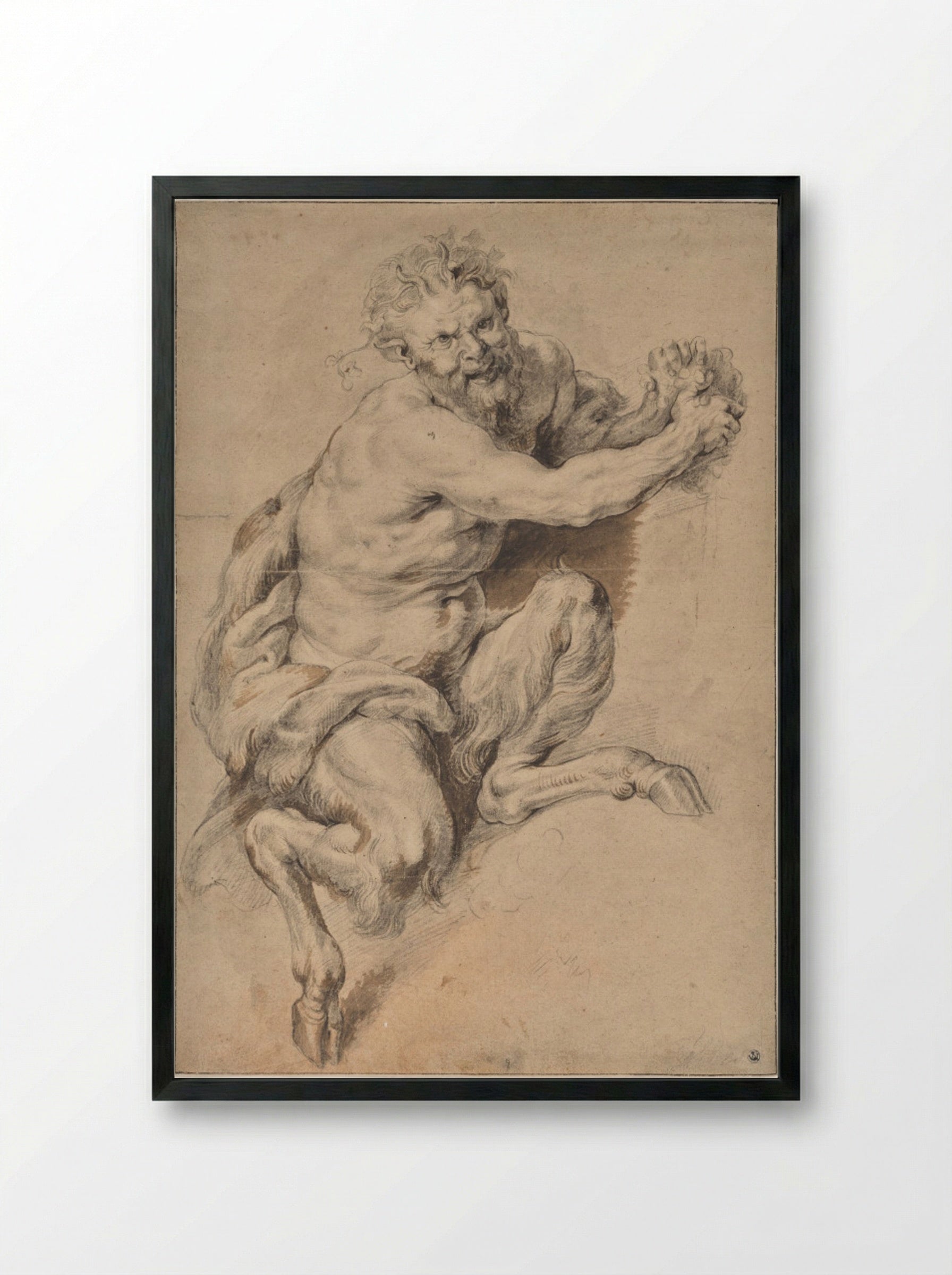 A Faun Grasping a Bunch of Grapes - Peter Paul Rubens - Framed Print Black