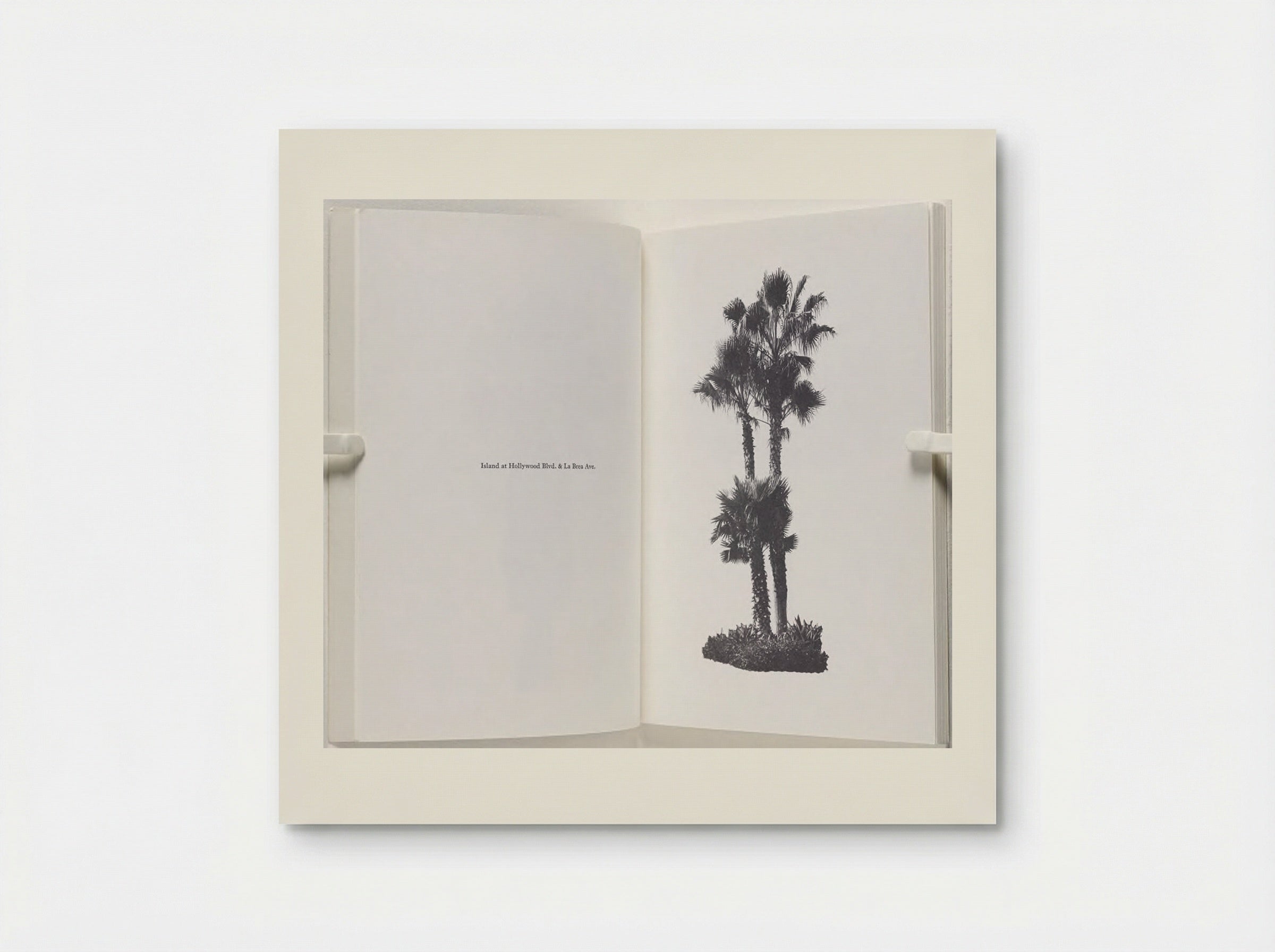 A Few Palm Trees - Edward Ruscha - Poster