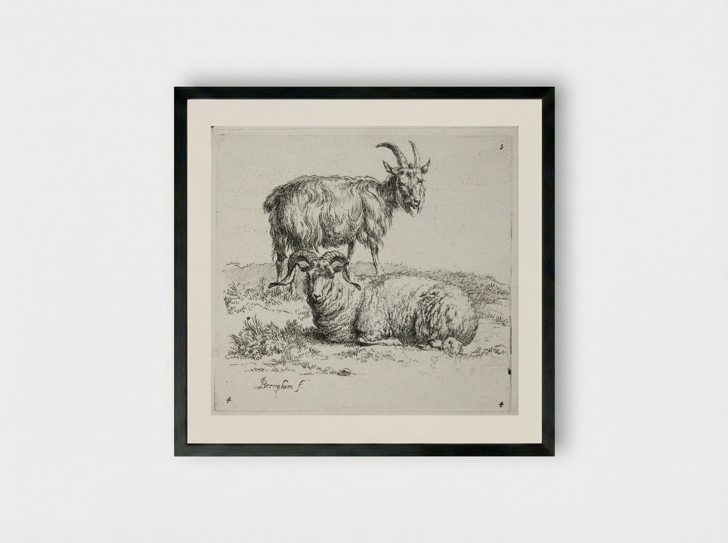 A Goat and a Ram - Nicolaes Berchem - Framed Print Black